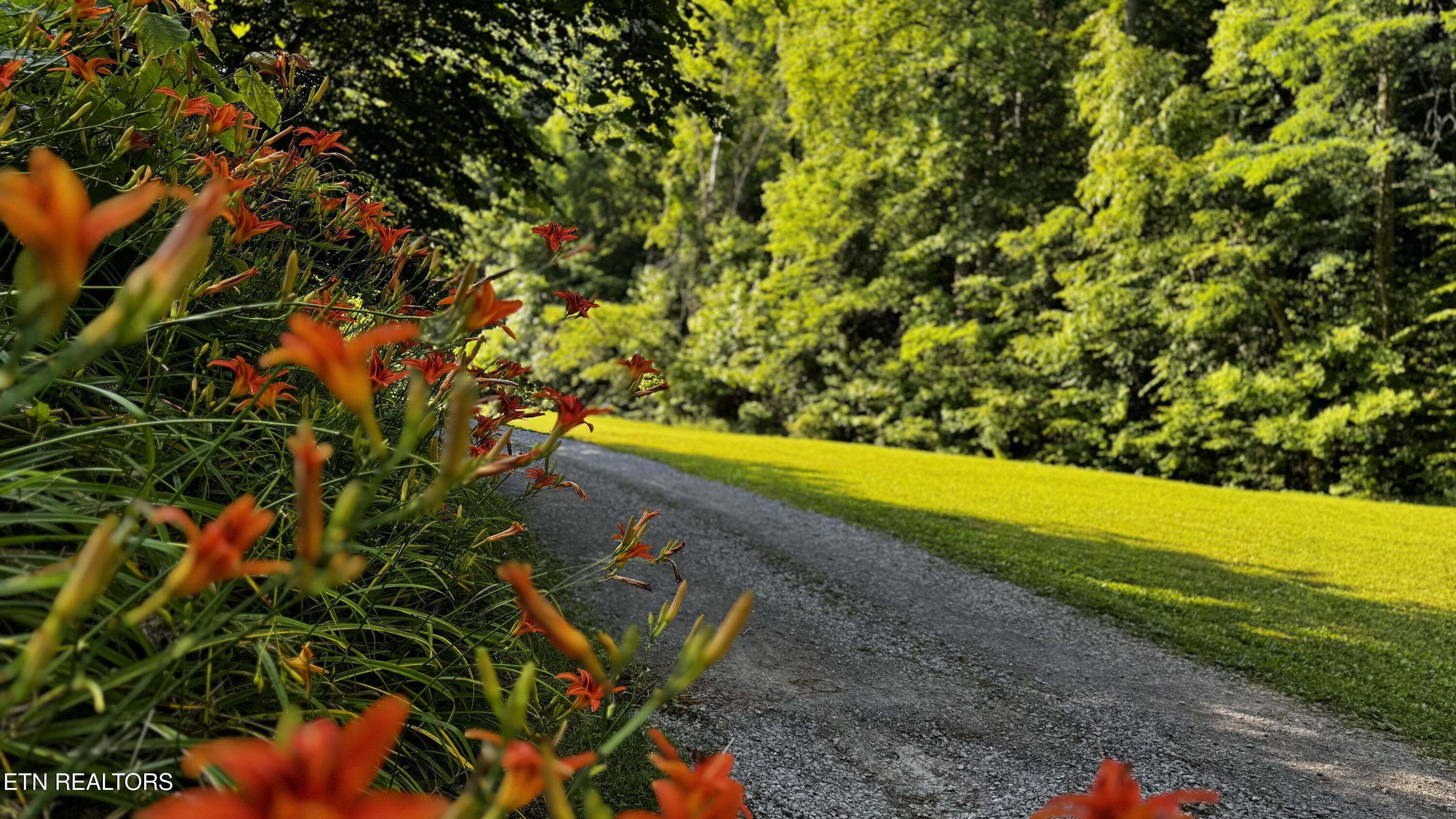 609 Lane Hollow Road Sevierville TN 37876