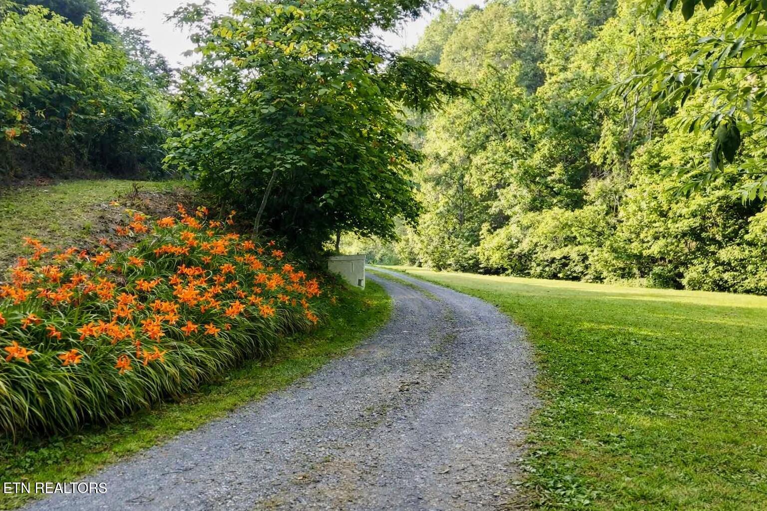 609 Lane Hollow Road Sevierville TN 37876