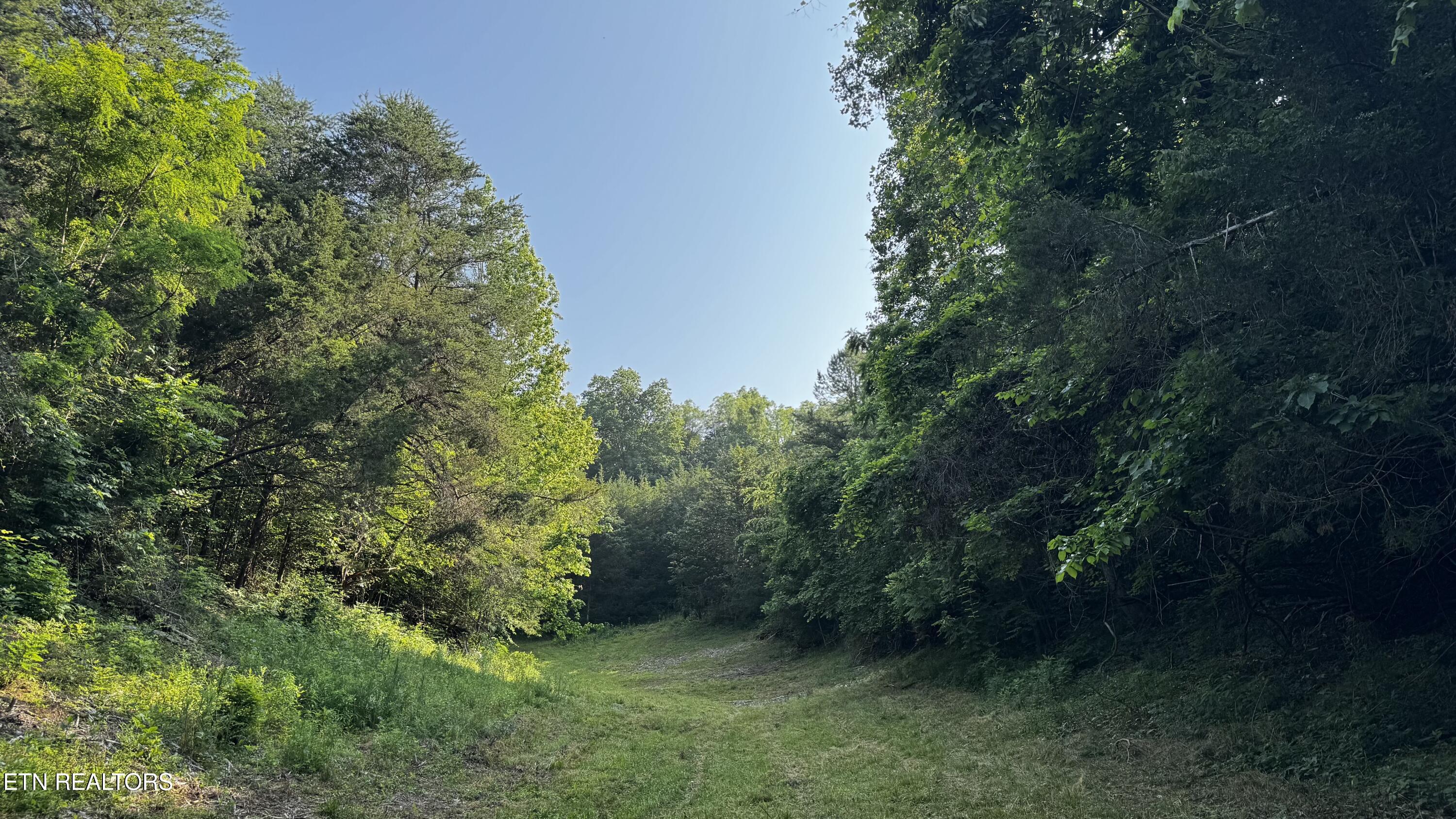 609 Lane Hollow Road Sevierville TN 37876