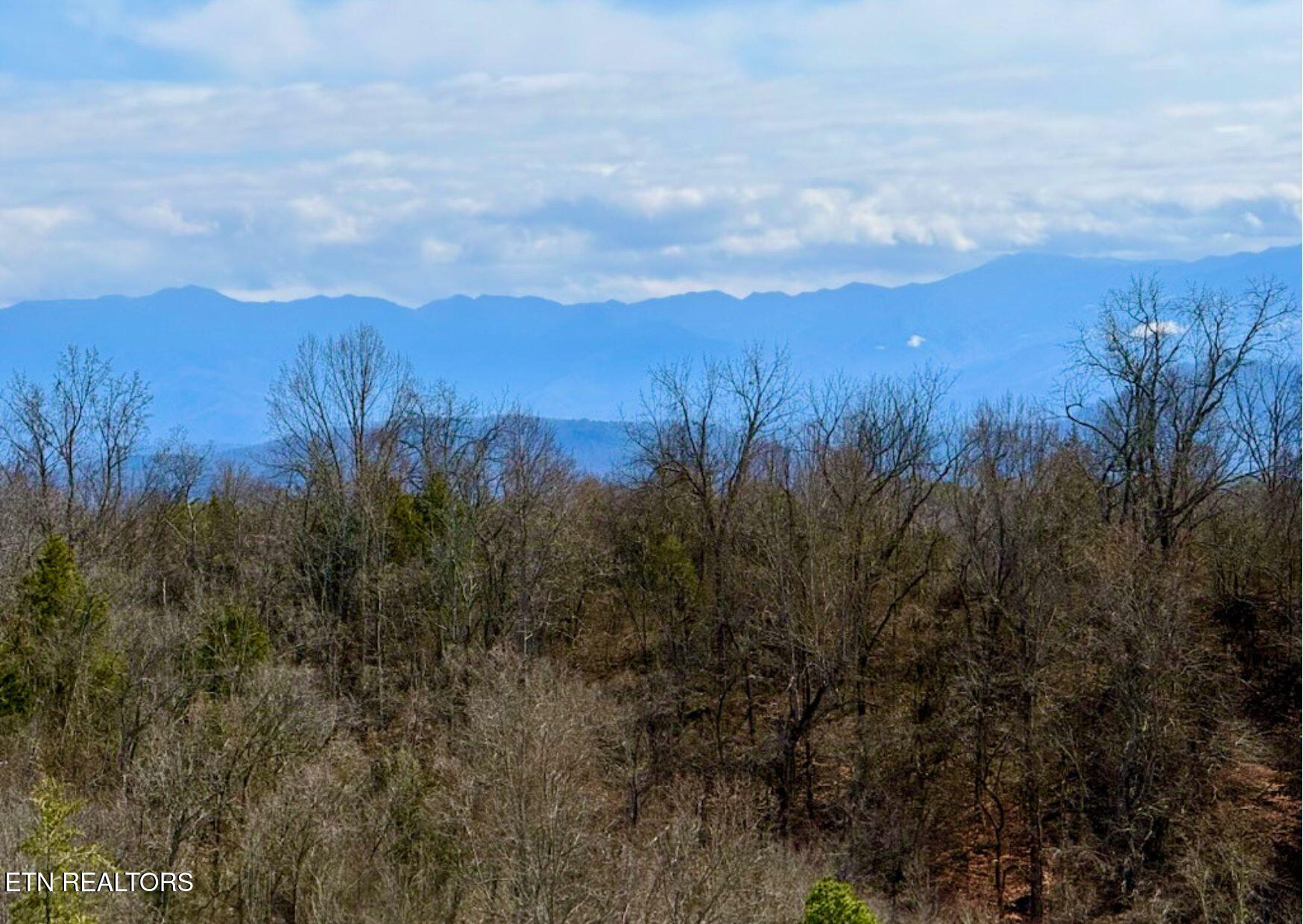 609 Lane Hollow Road Sevierville TN 37876