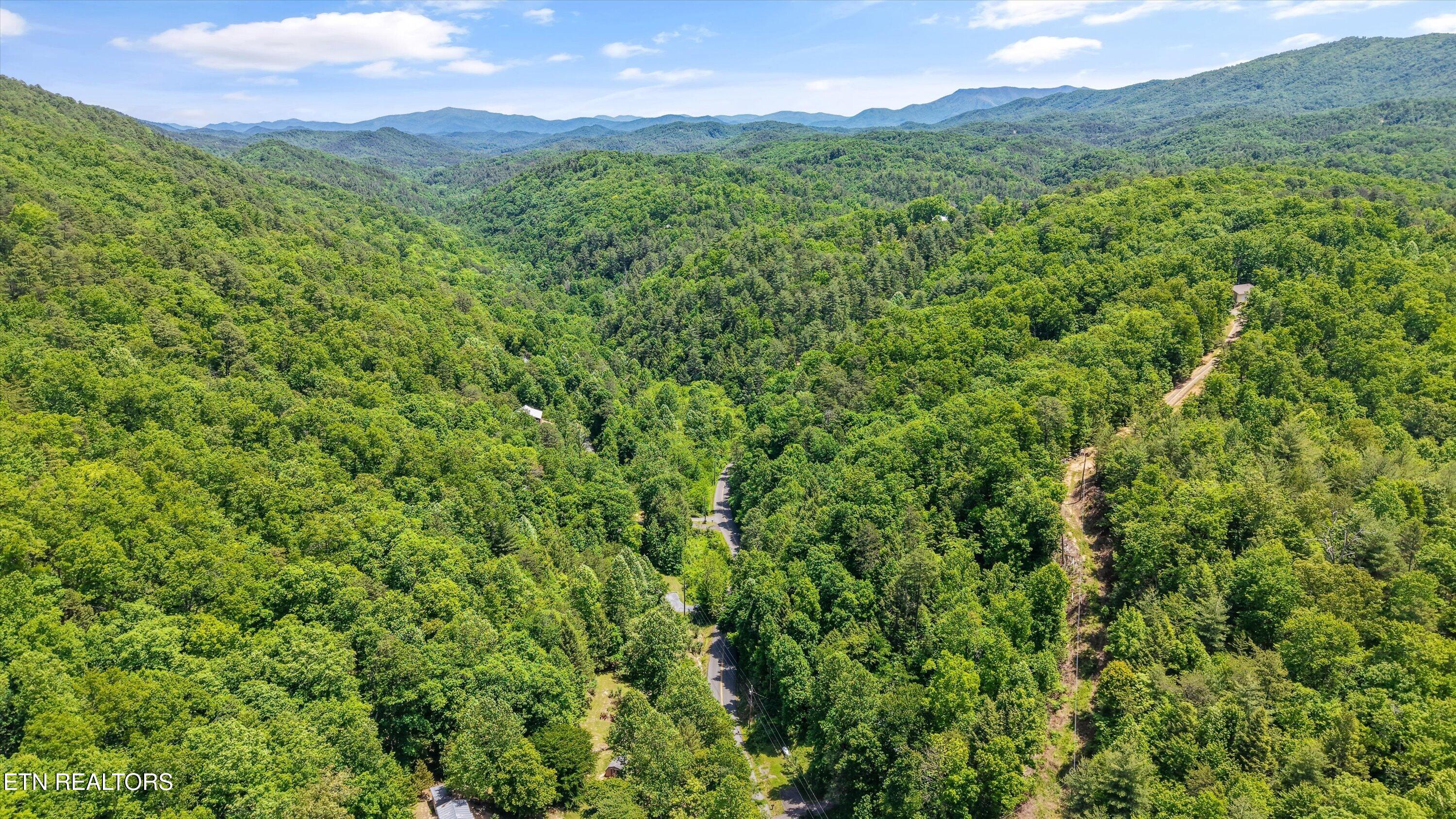 3869 Henry Town Road Sevierville TN 37876
