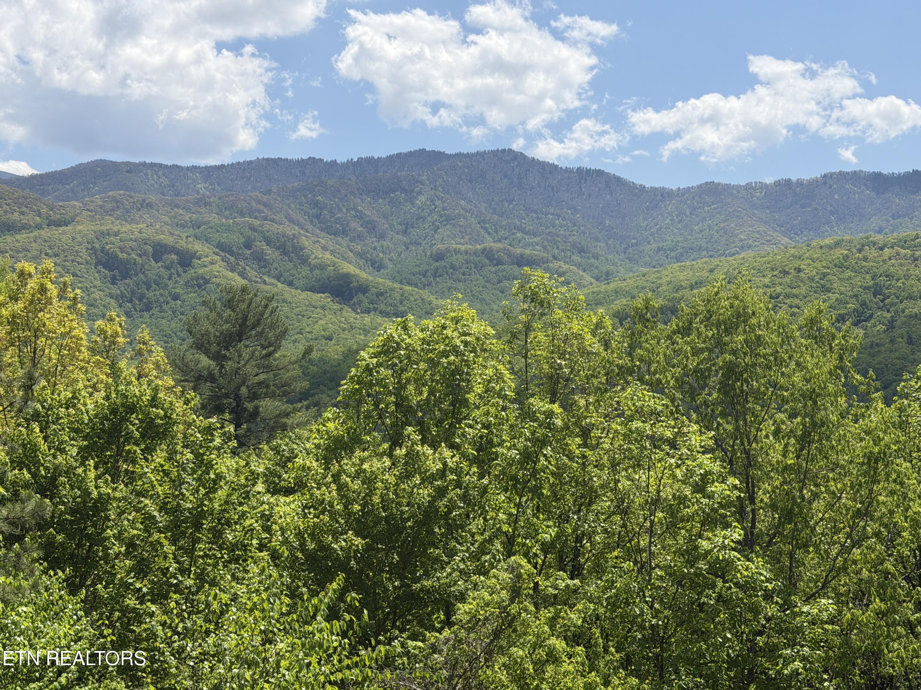 439 Ridgeline Way Gatlinburg TN 37738