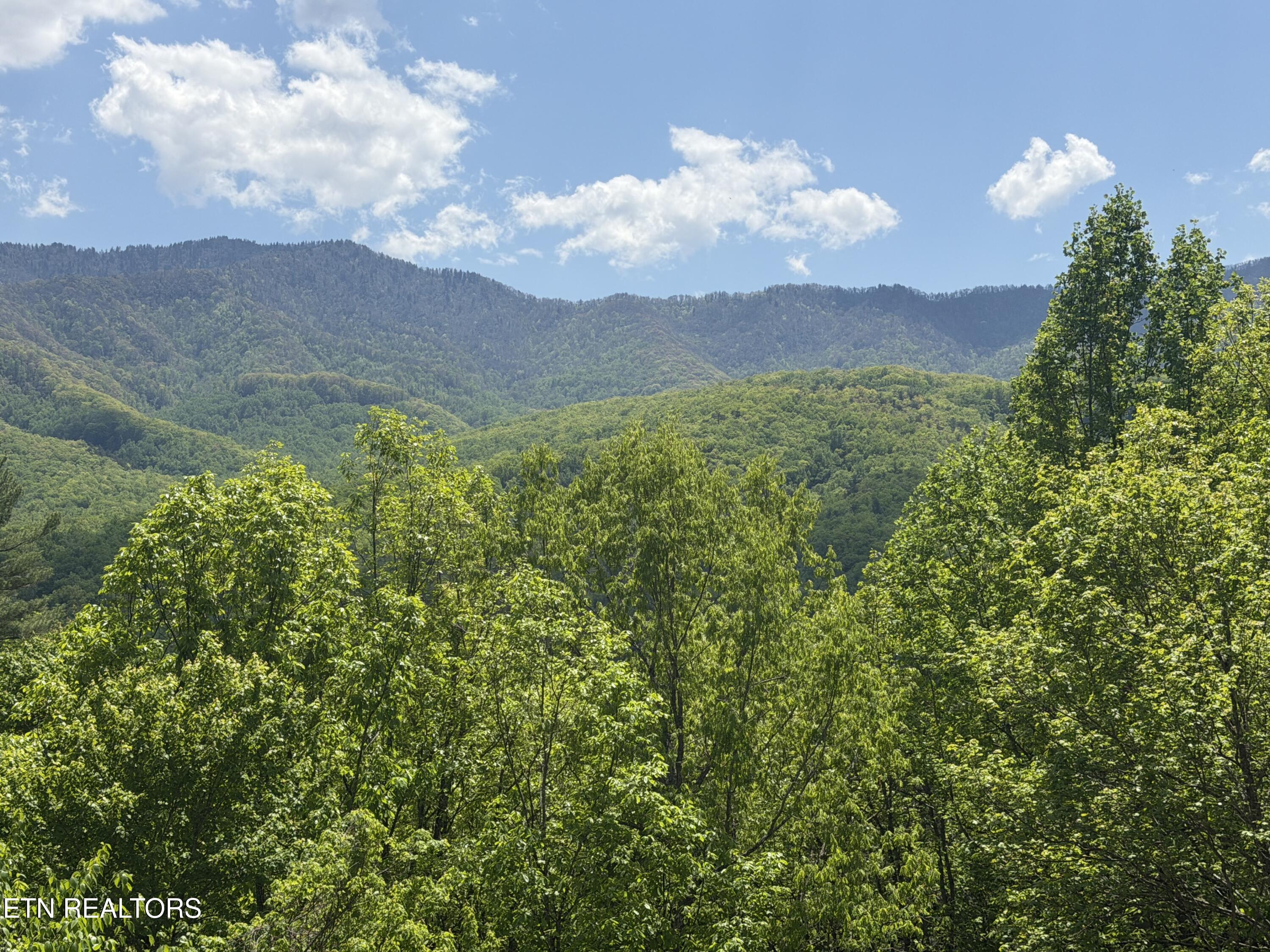 439 Ridgeline Way Gatlinburg TN 37738