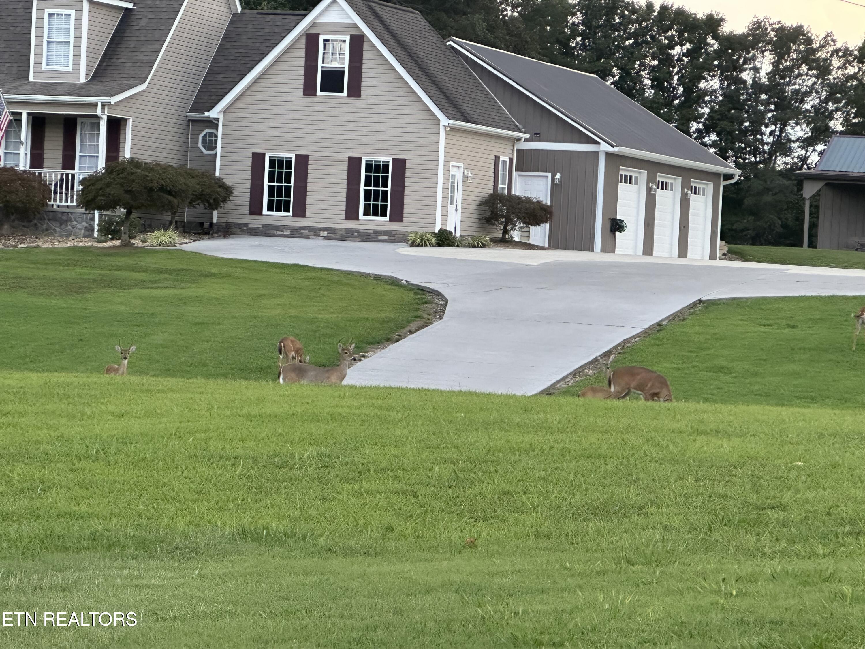307 Idlewild Drive White Pine TN 37890