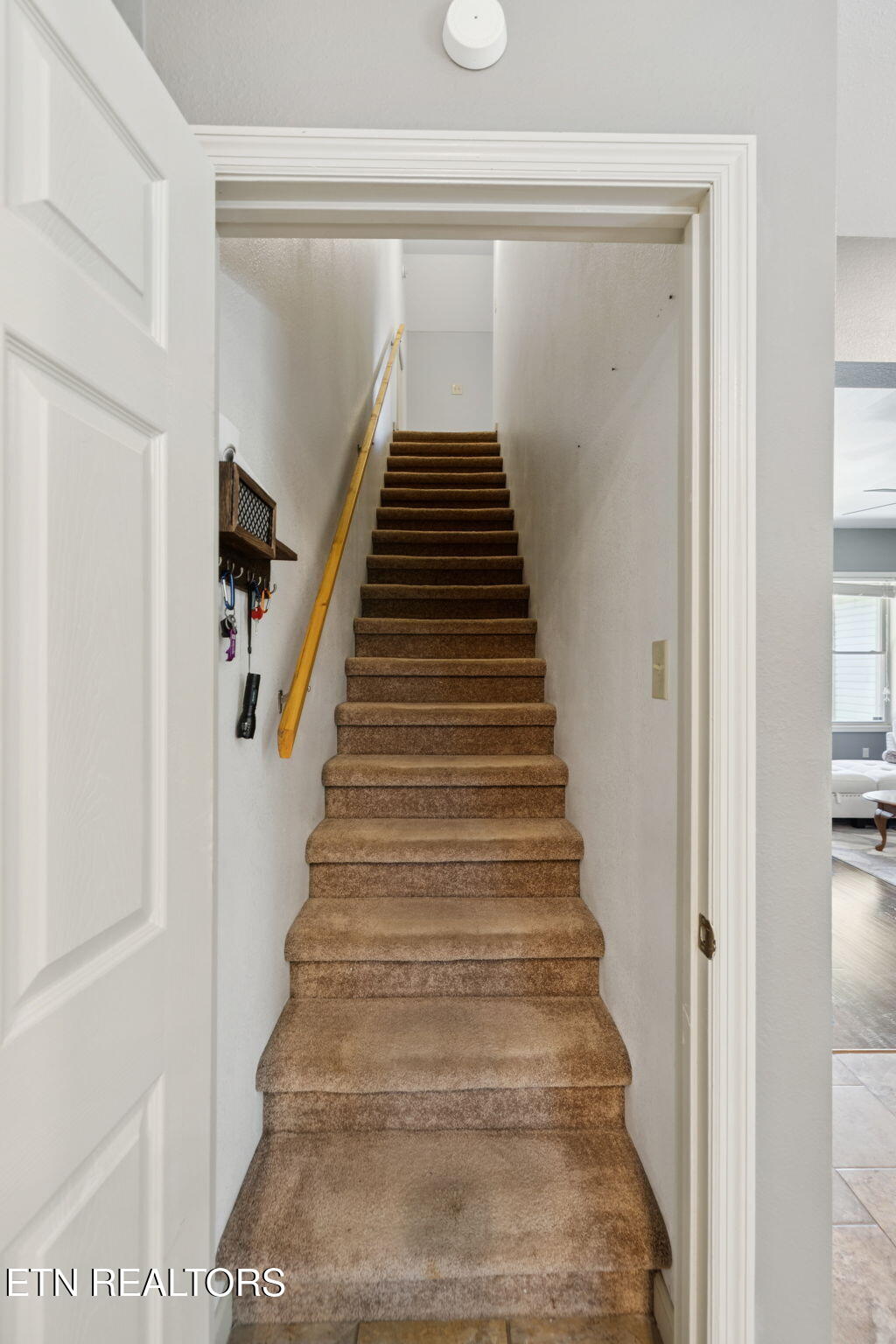 246 Akins Road Tellico Plains TN 37385