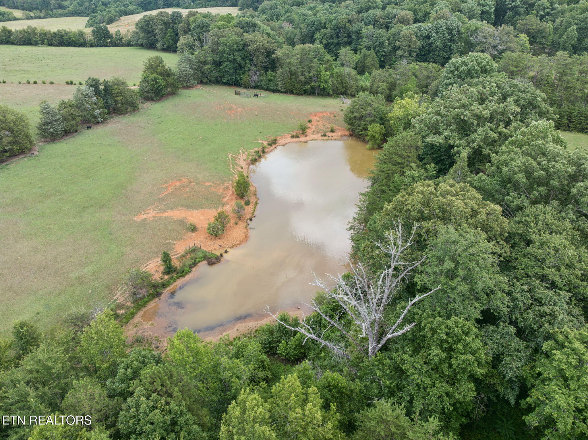 246 Akins Road Tellico Plains TN 37385