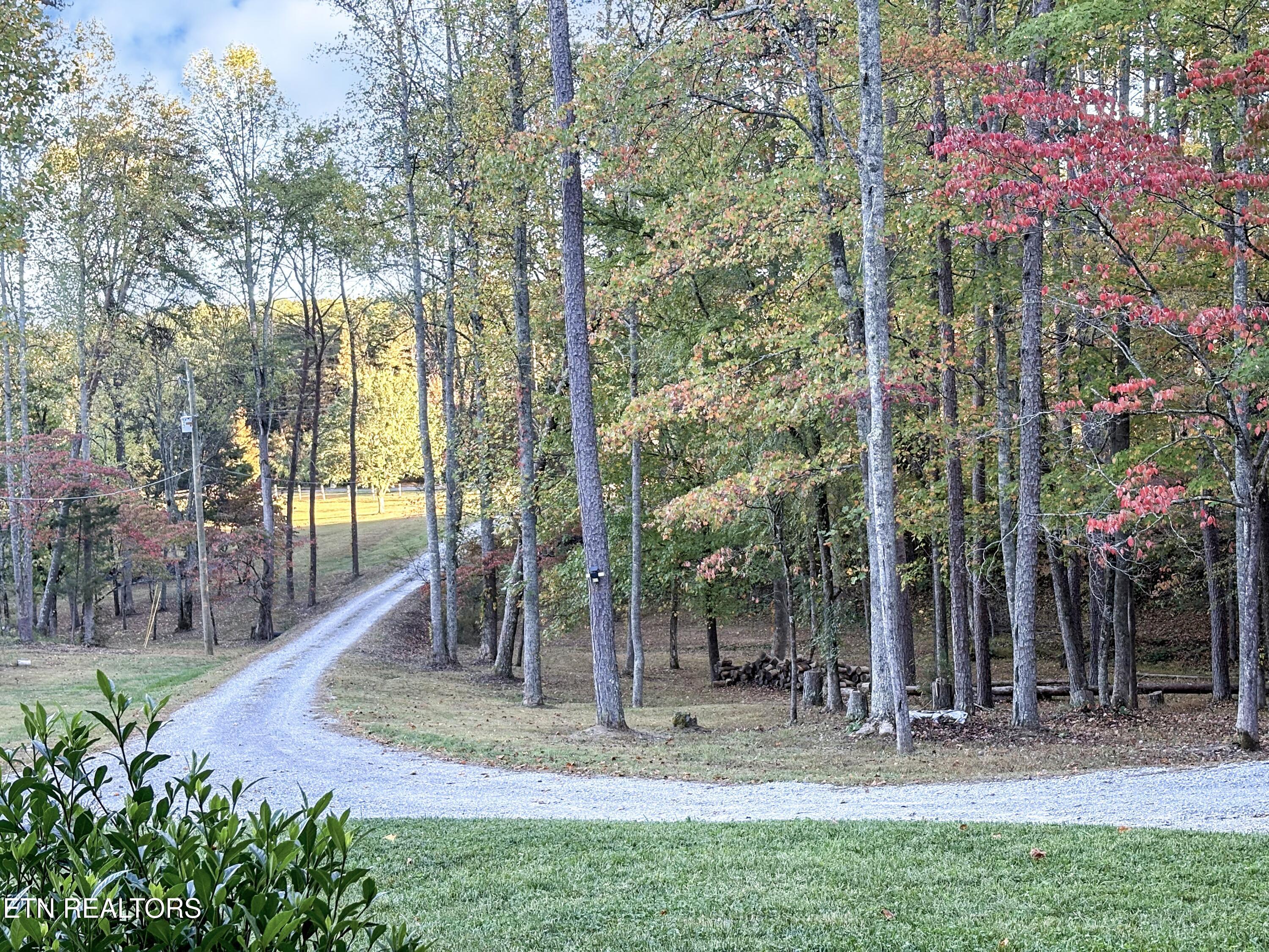 951 Newell Circle Seymour TN 37865