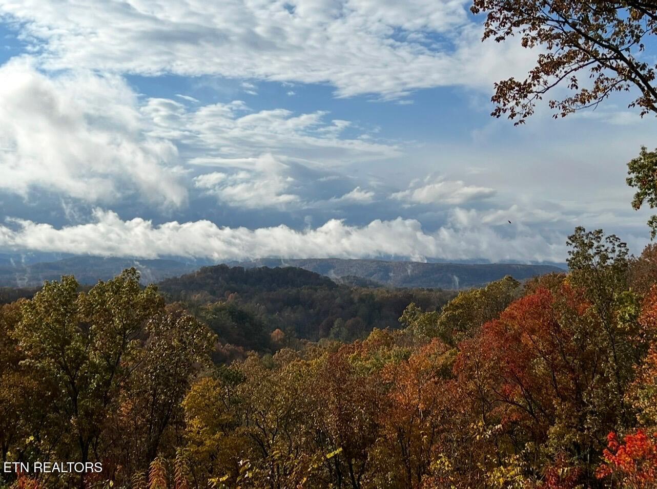 133 Hickory Flats Road Harriman TN 37748