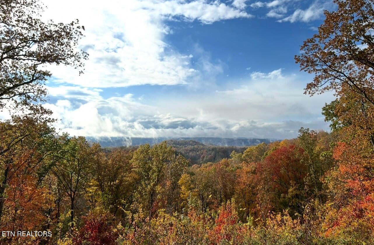 133 Hickory Flats Road Harriman TN 37748