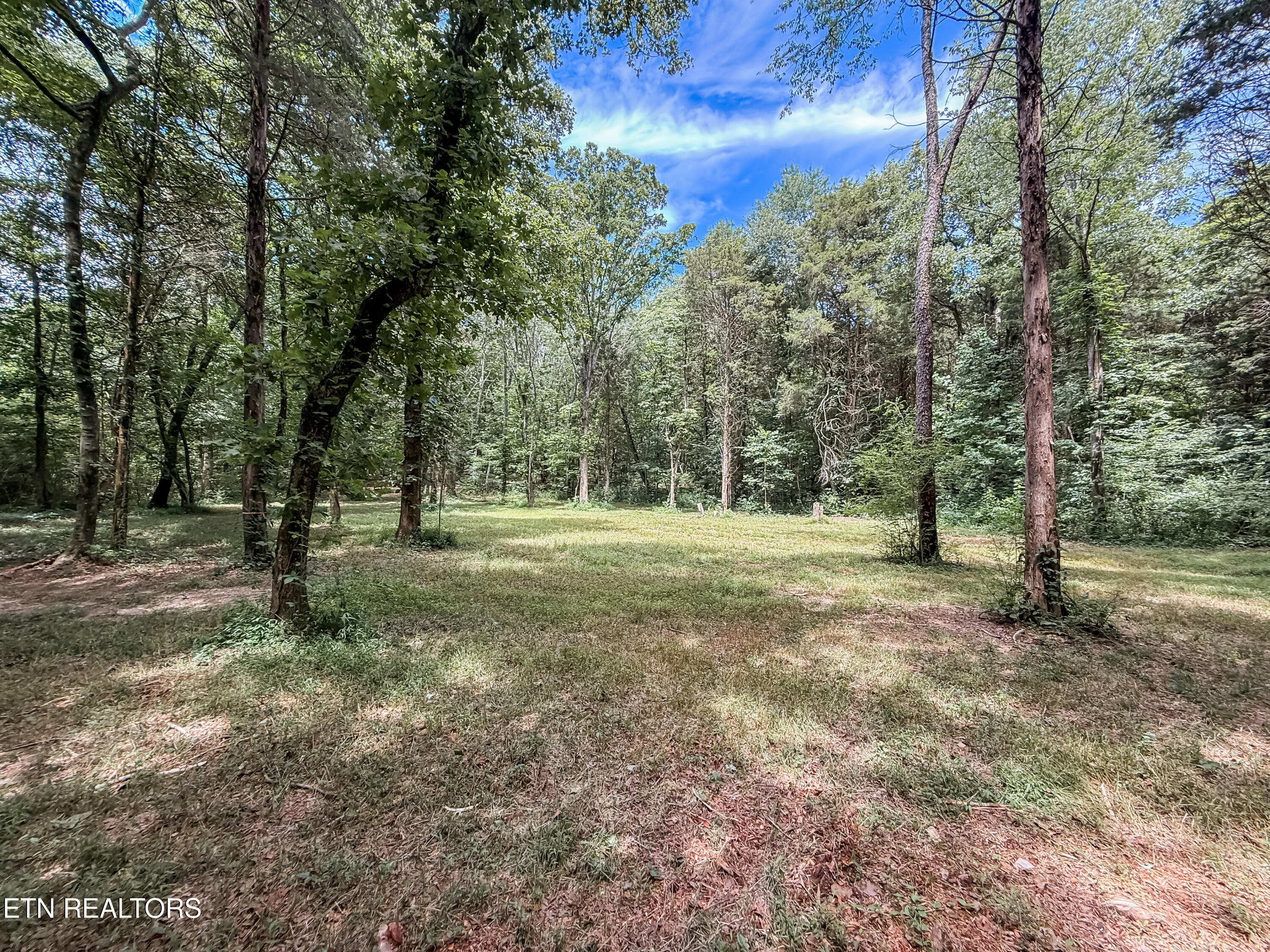 145 County Road 295 Road Niota TN 37826