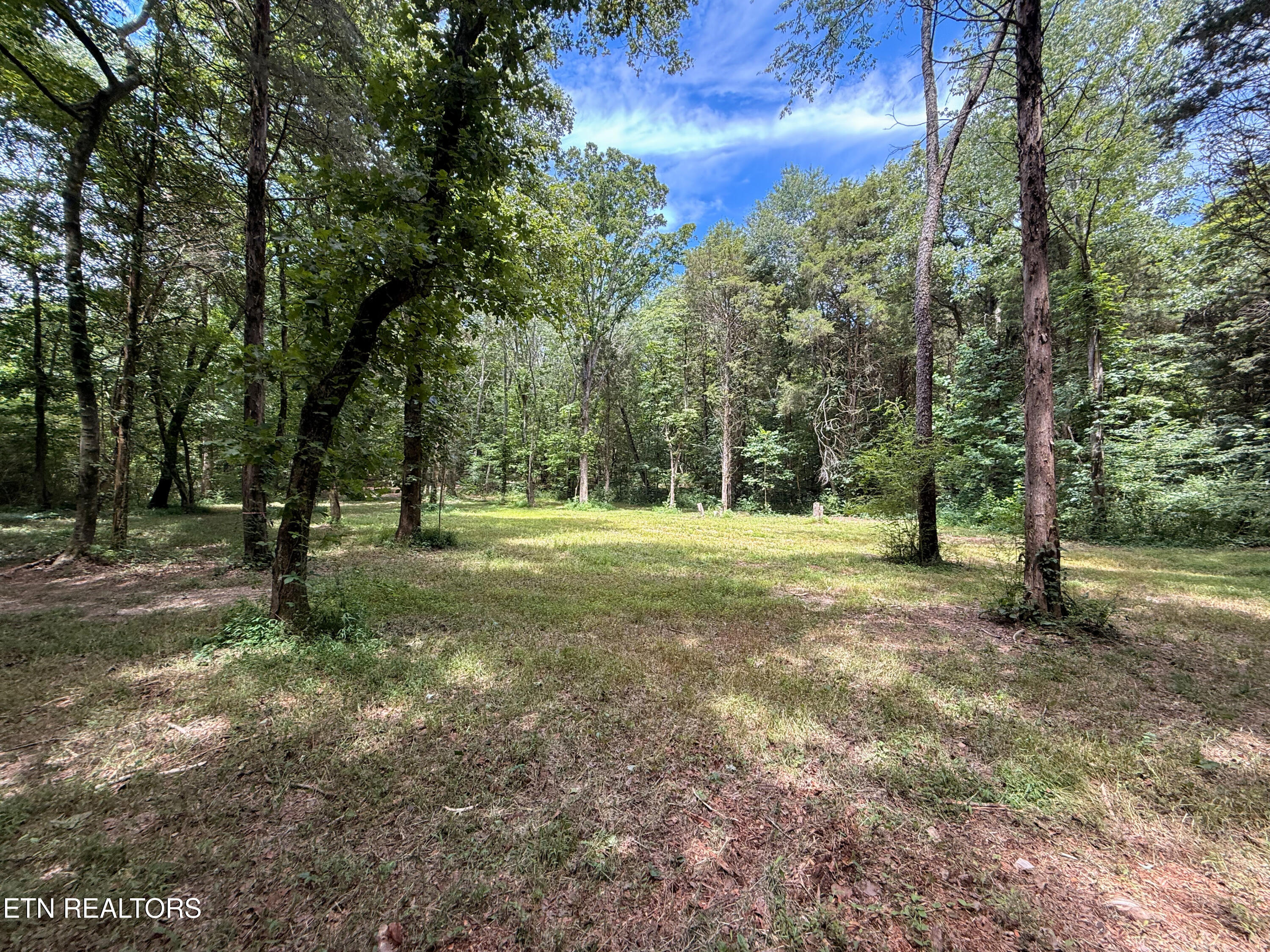 145 County Road 295 Road Niota TN 37826