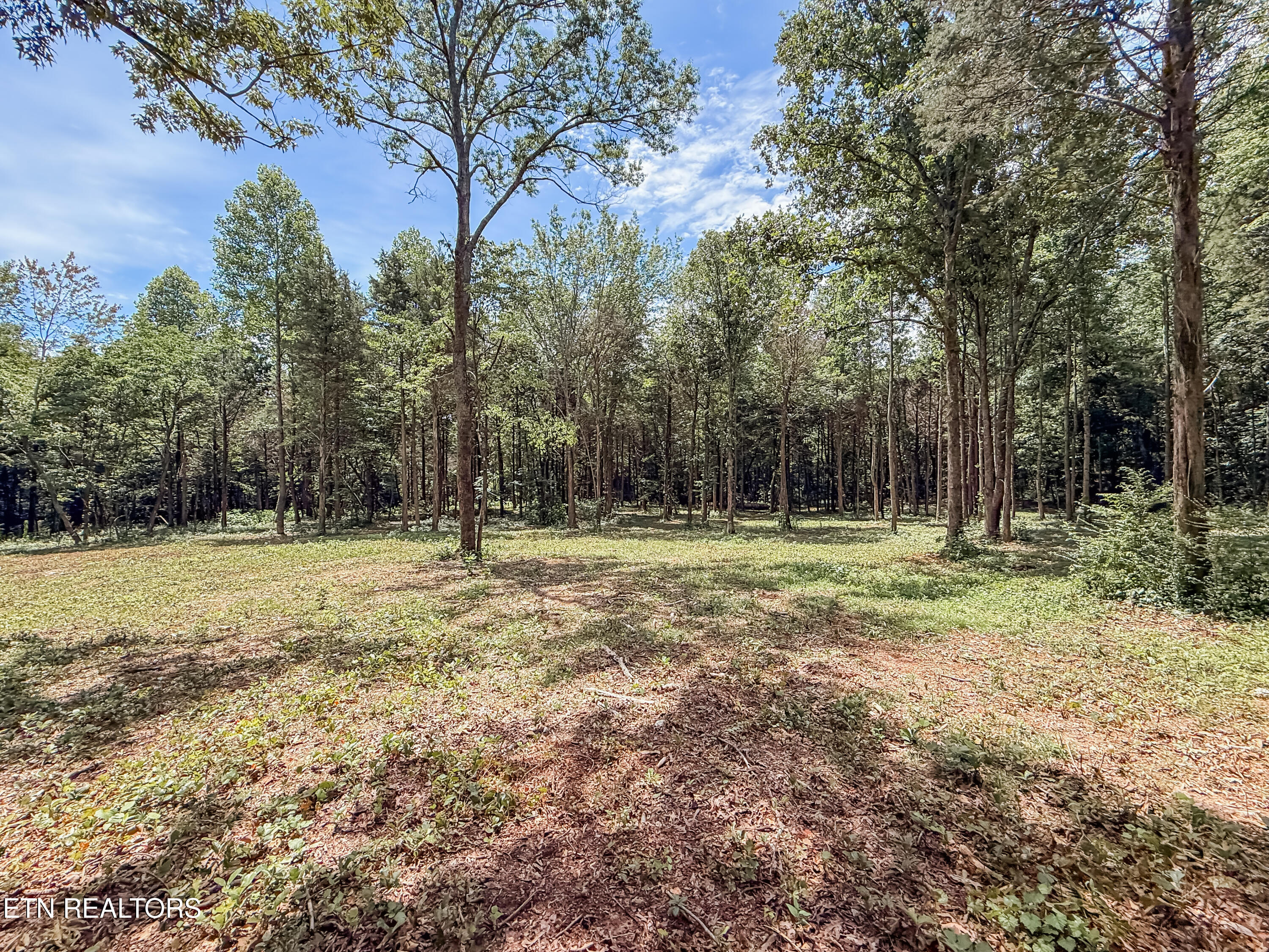 145 County Road 295 Road Niota TN 37826