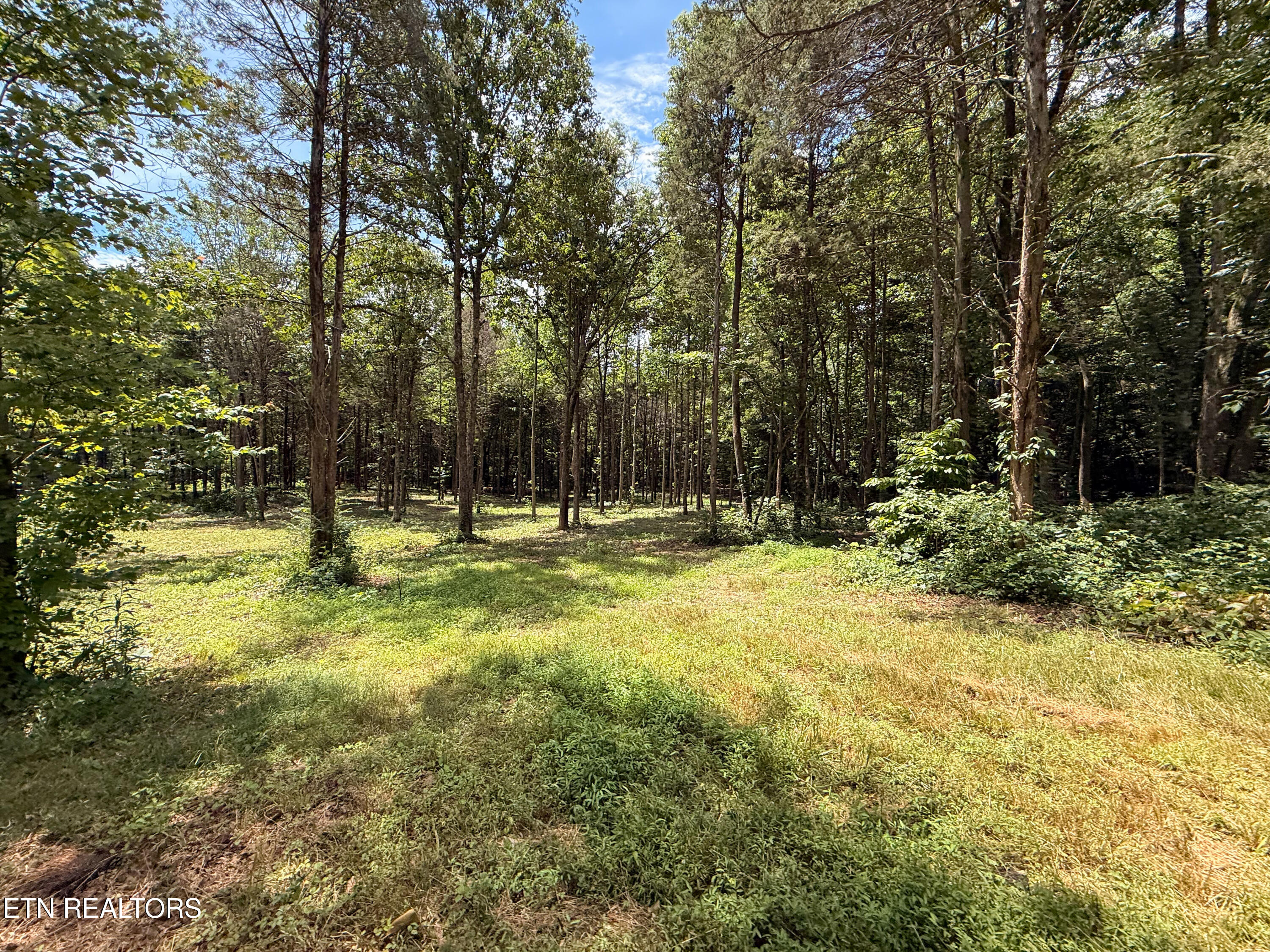145 County Road 295 Road Niota TN 37826