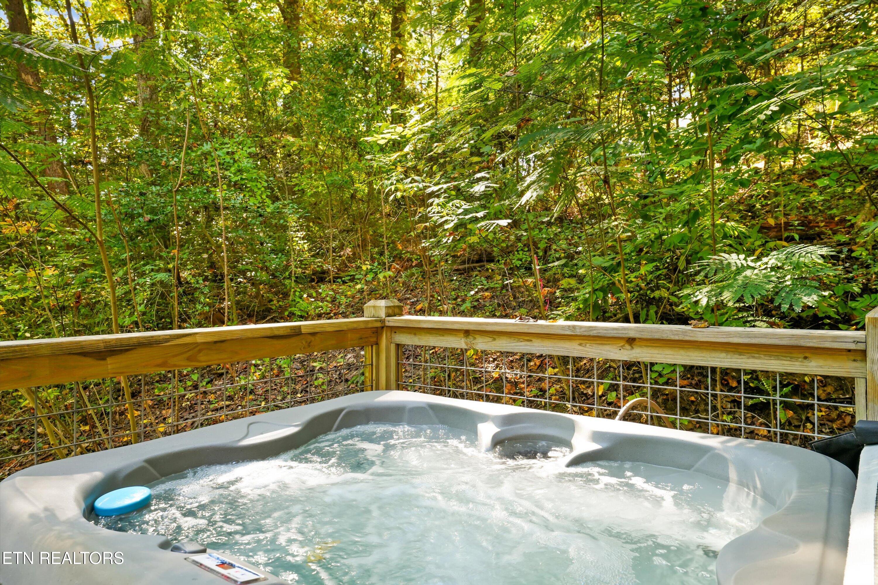 251 Cartertown Road Gatlinburg TN 37738