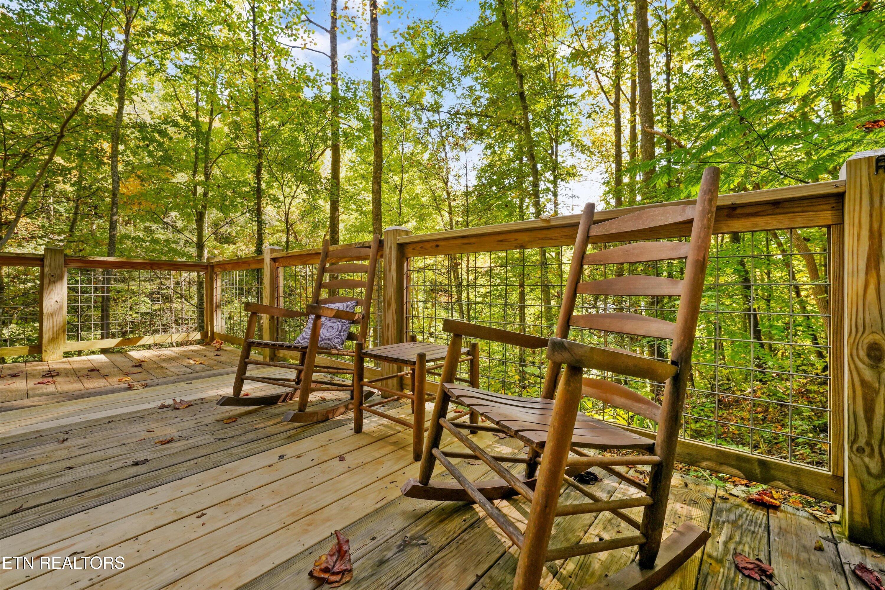 251 Cartertown Road Gatlinburg TN 37738