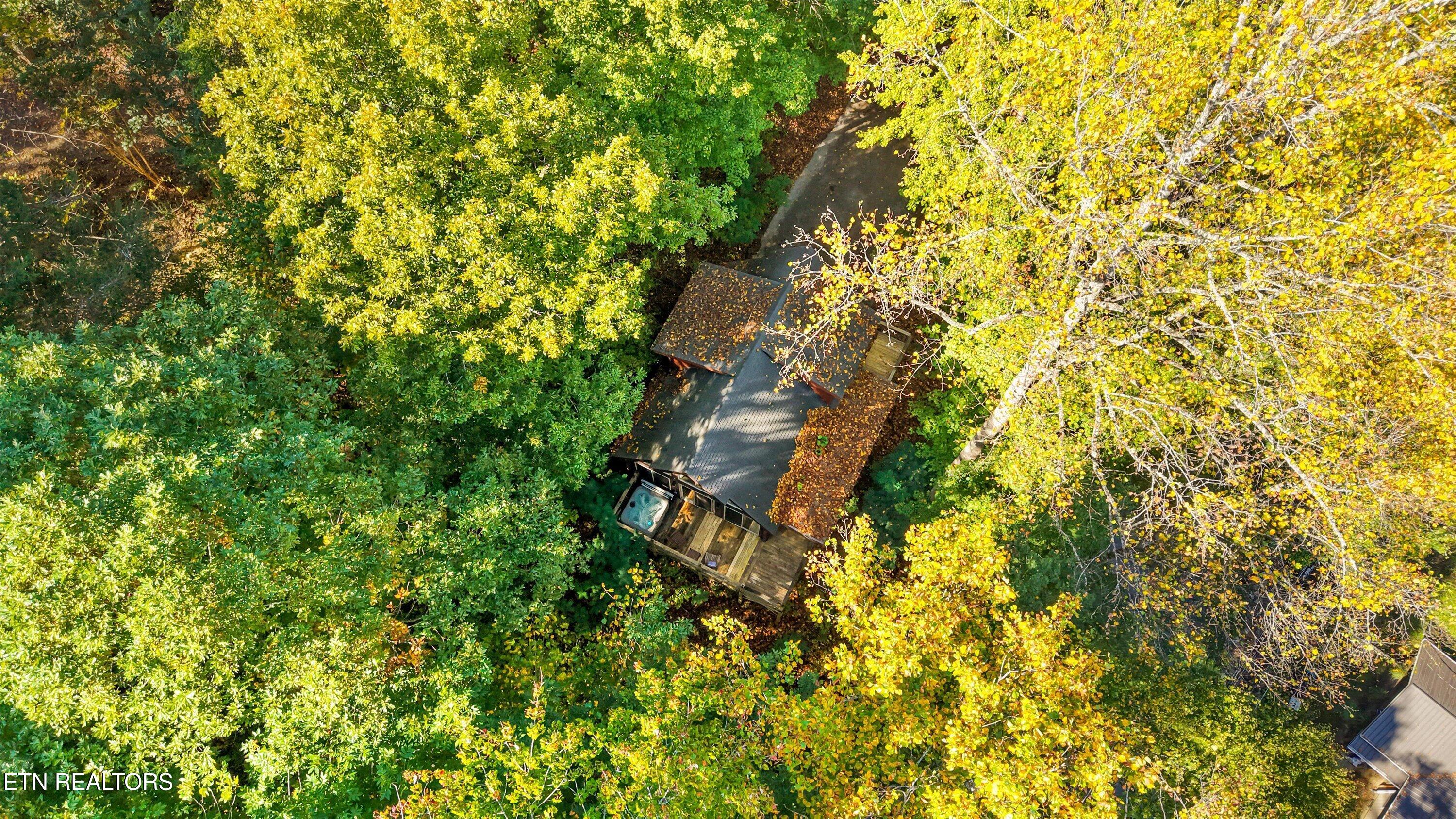 251 Cartertown Road Gatlinburg TN 37738