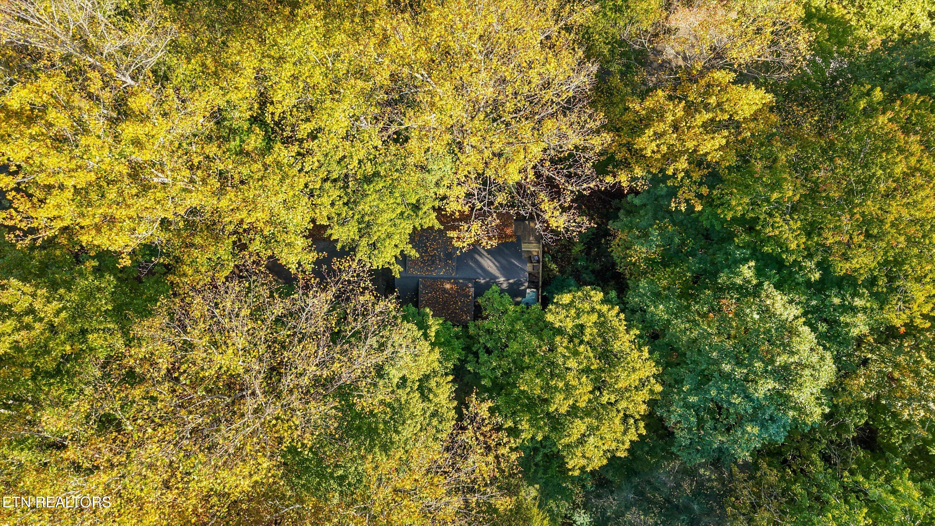 251 Cartertown Road Gatlinburg TN 37738