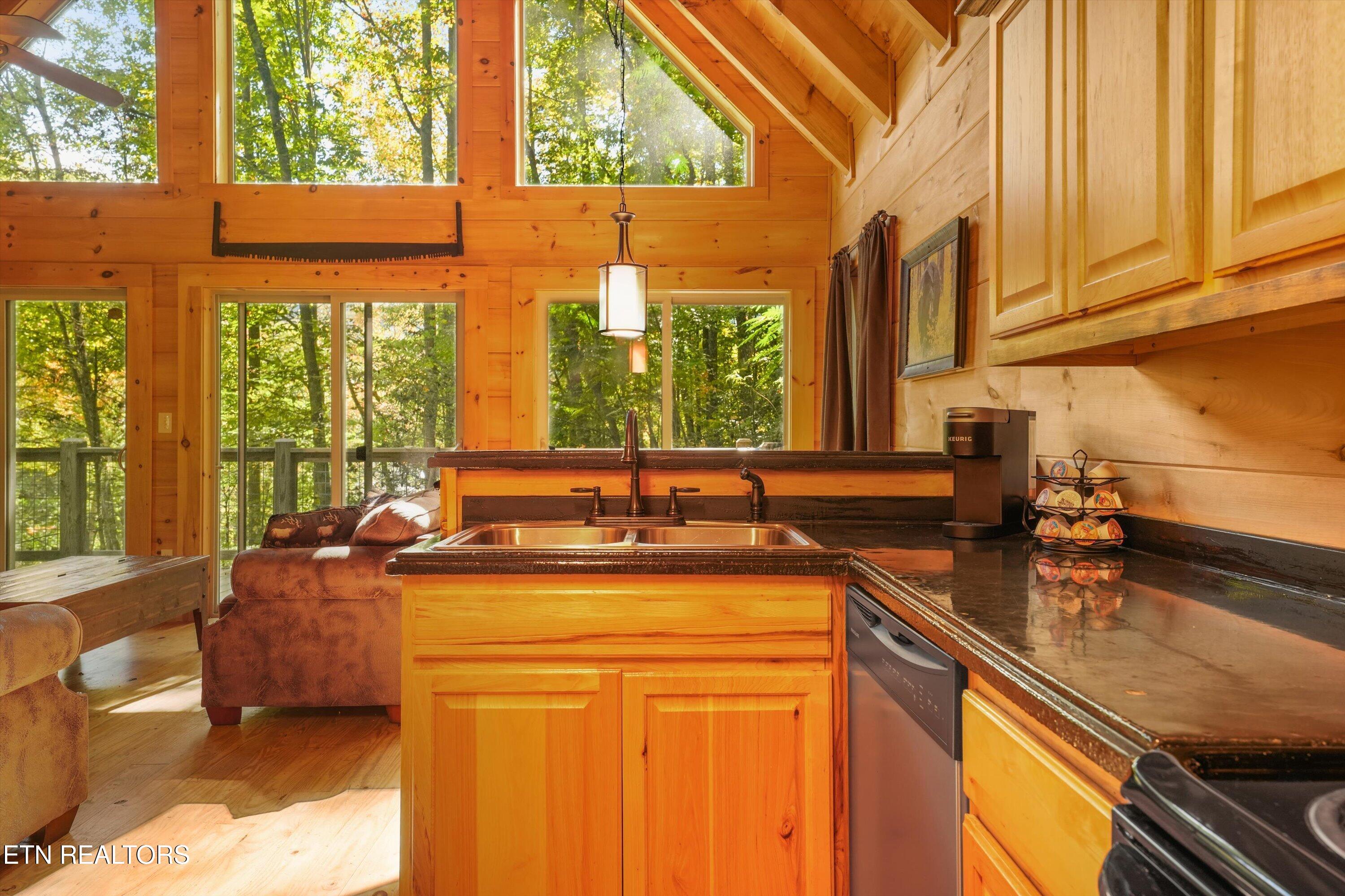 251 Cartertown Road Gatlinburg TN 37738