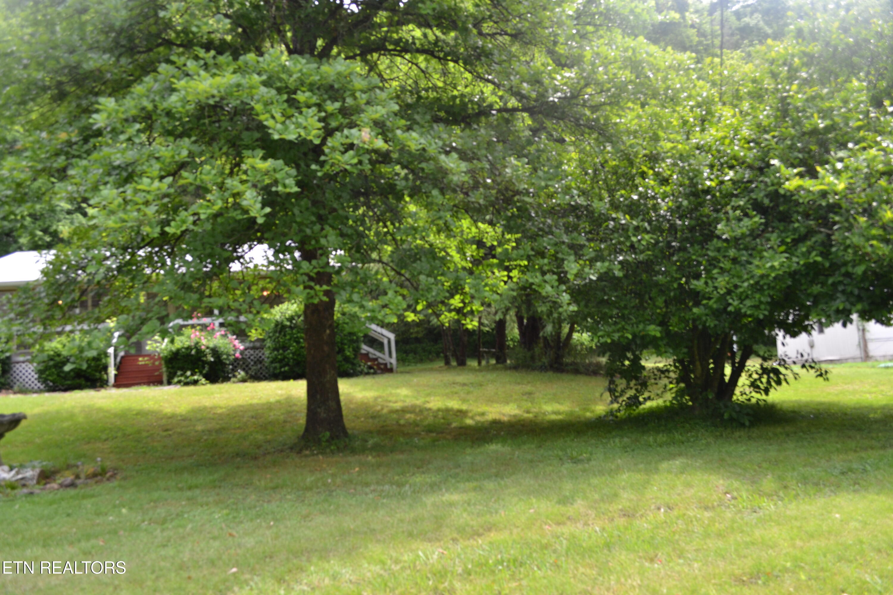 1505 Add Stafford Road Hilham TN 38568