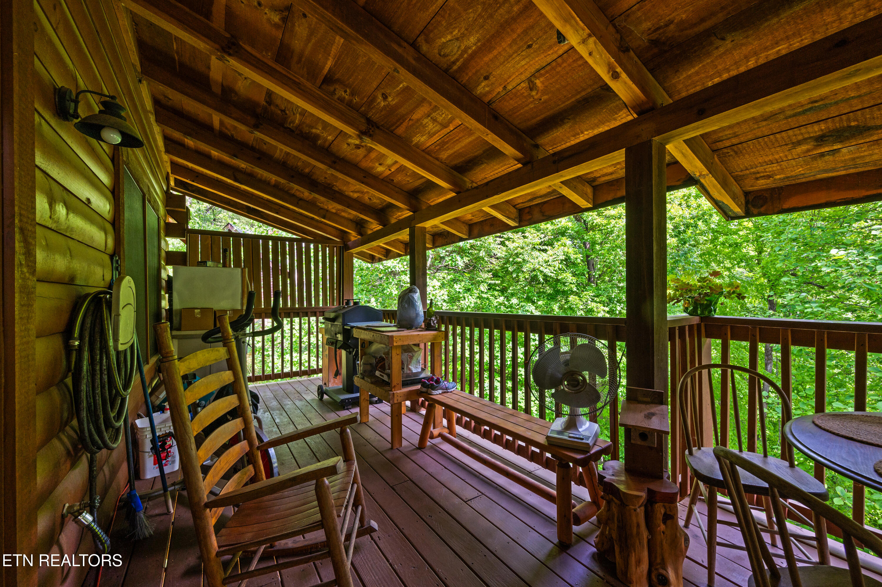 3209 Bear Country Way Pittman Center TN 37738