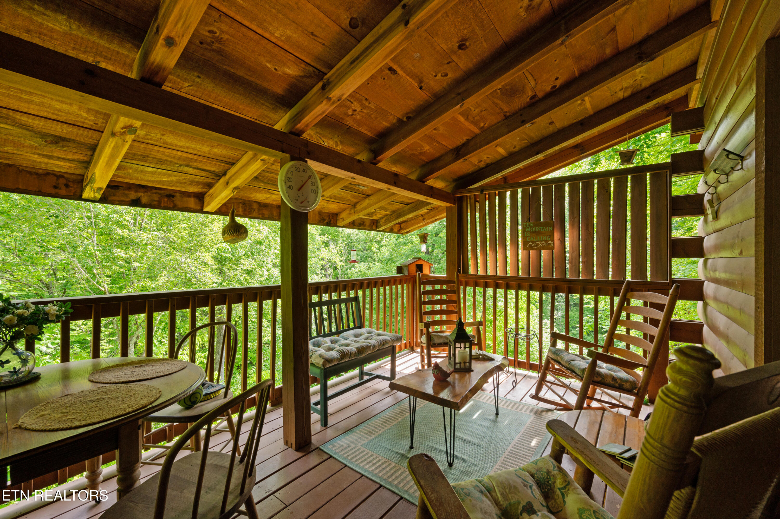 3209 Bear Country Way Pittman Center TN 37738