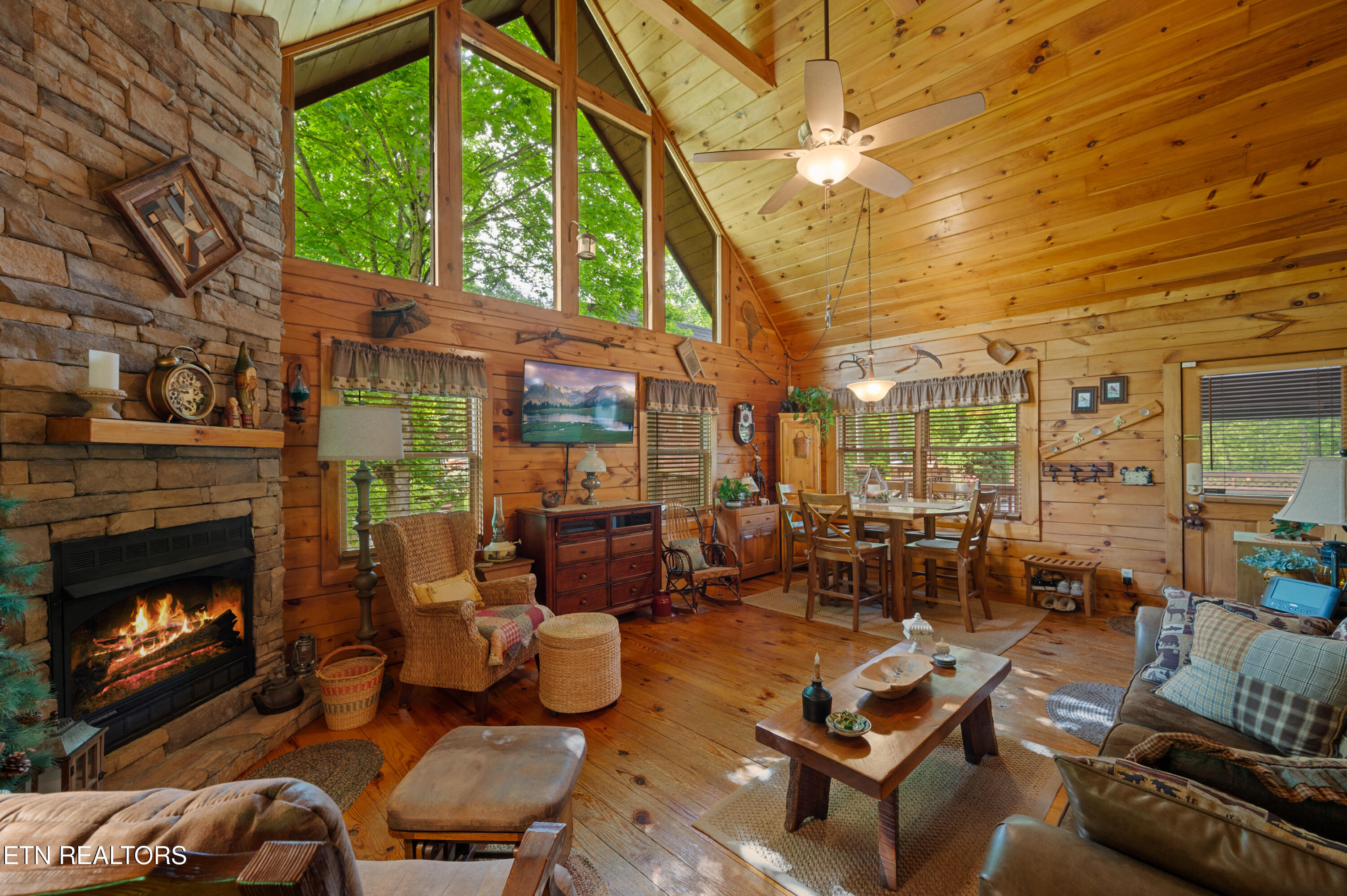 3209 Bear Country Way Pittman Center TN 37738