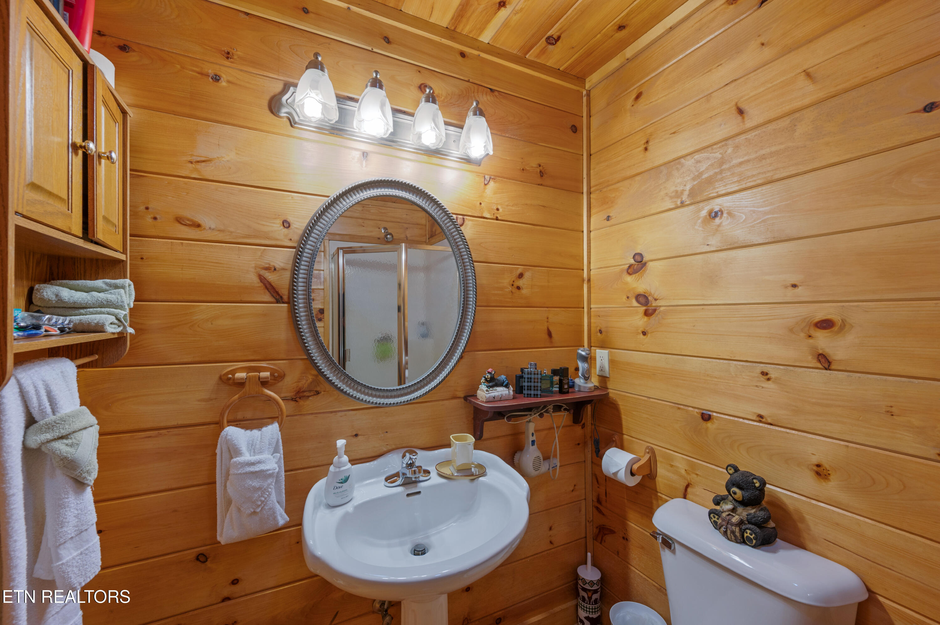 3209 Bear Country Way Pittman Center TN 37738