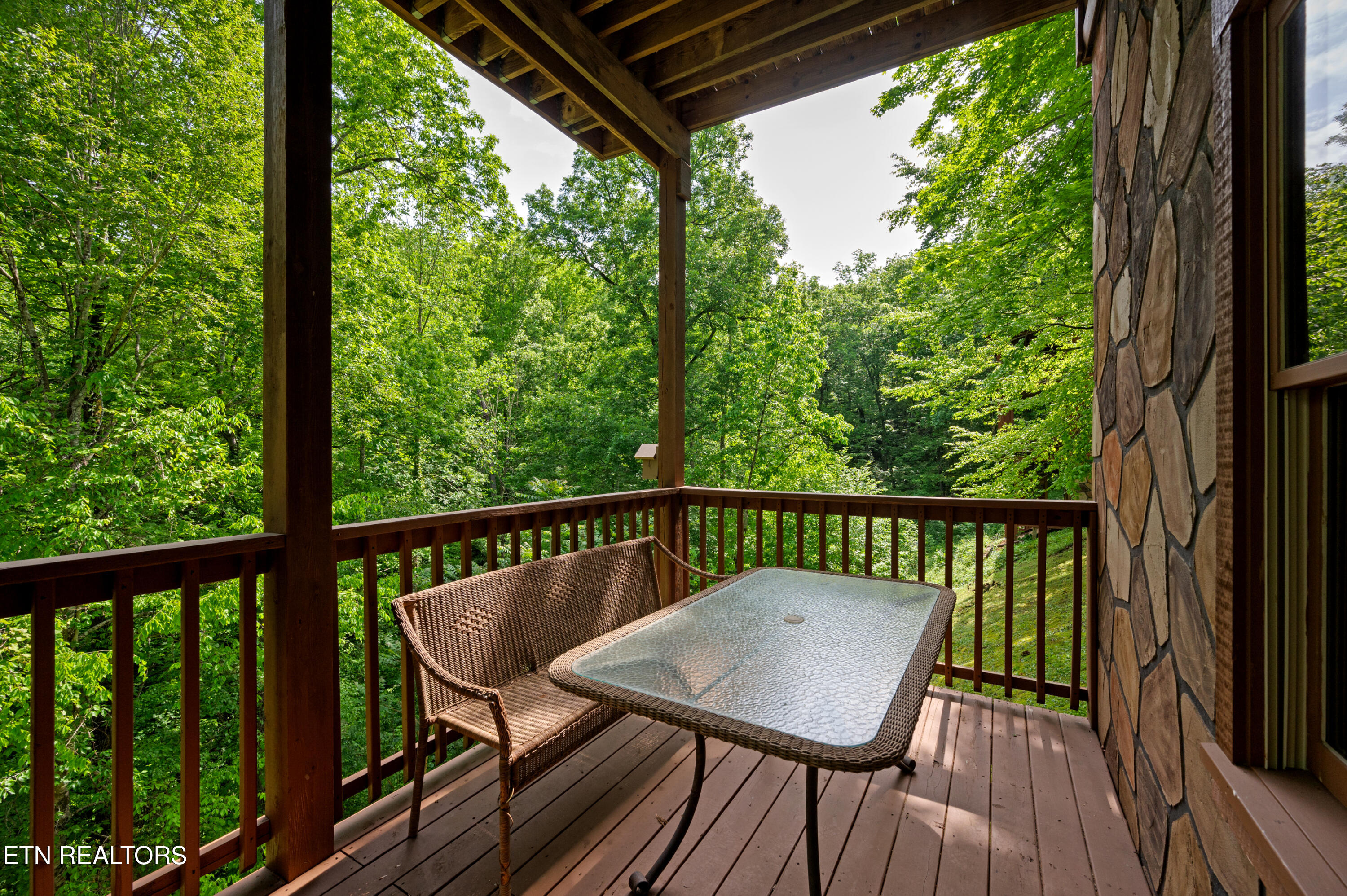 3209 Bear Country Way Pittman Center TN 37738