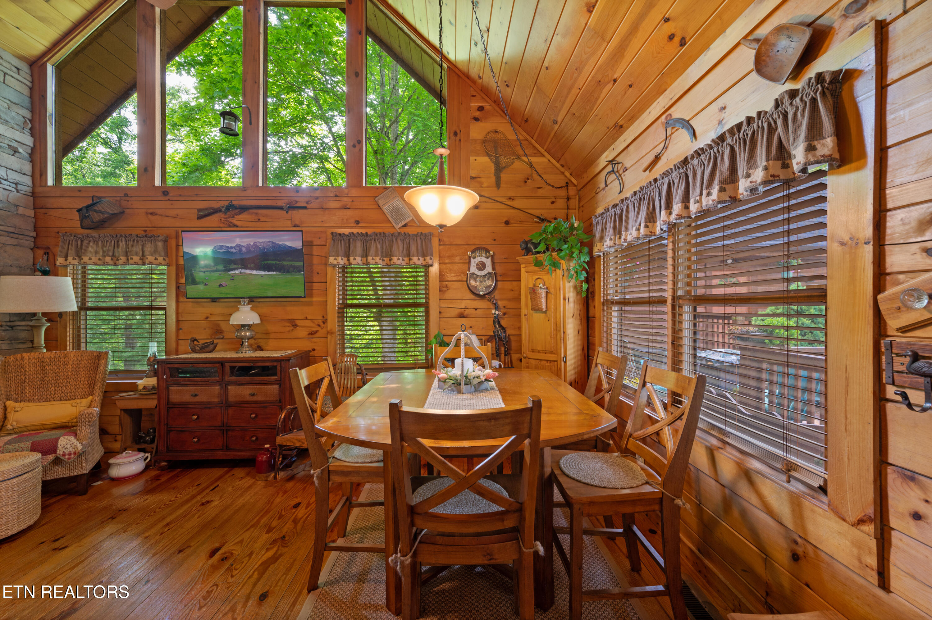 3209 Bear Country Way Pittman Center TN 37738