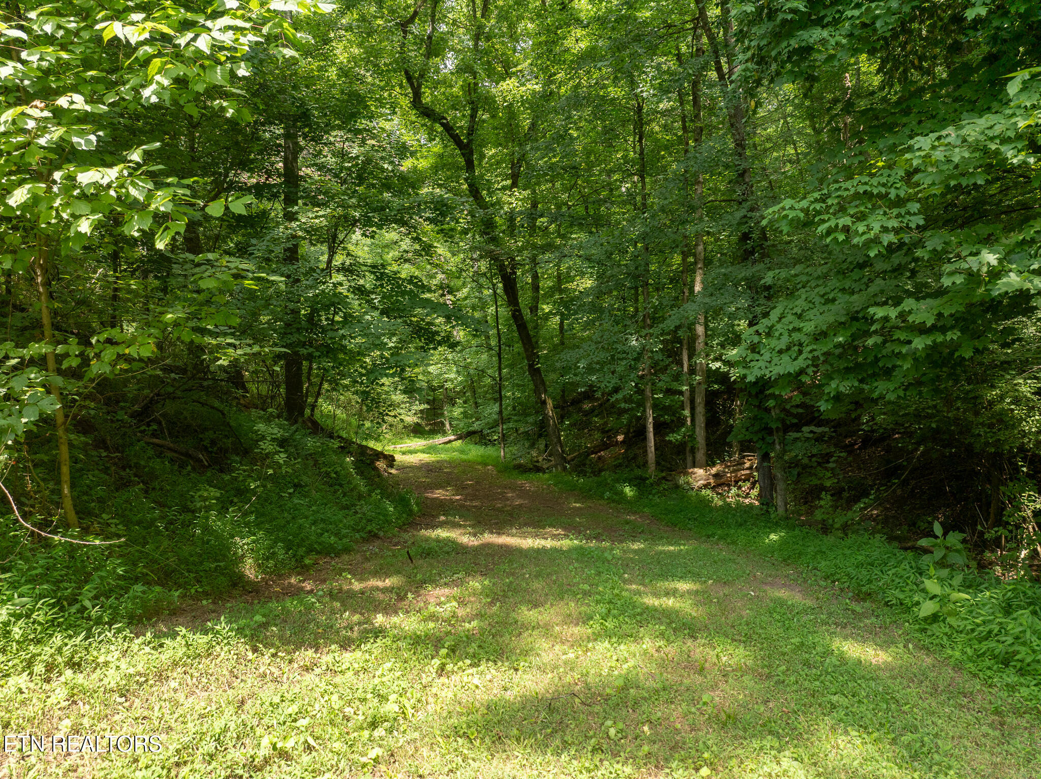 7724 Hodges Ferry Road Knoxville TN 37920