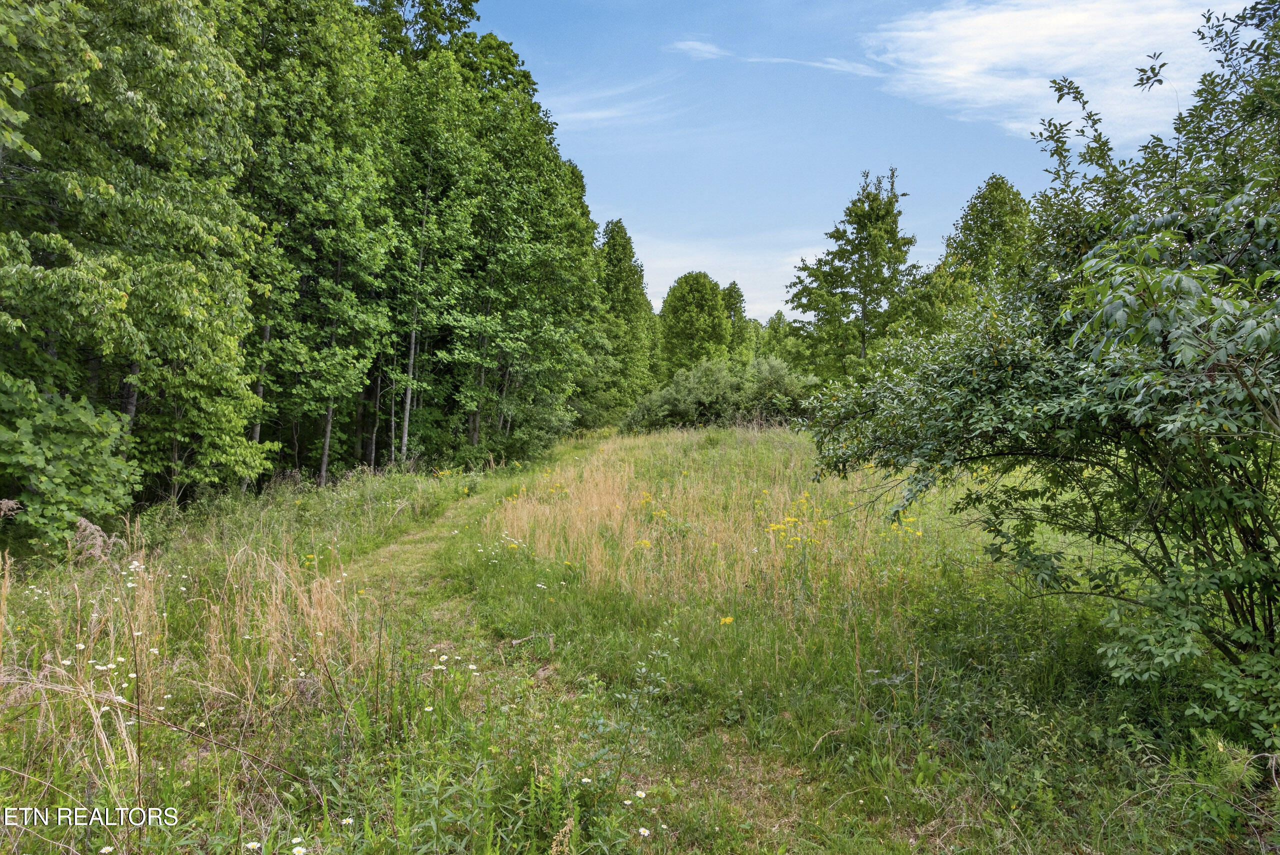 420 Oneida Lane Wilder TN 38589