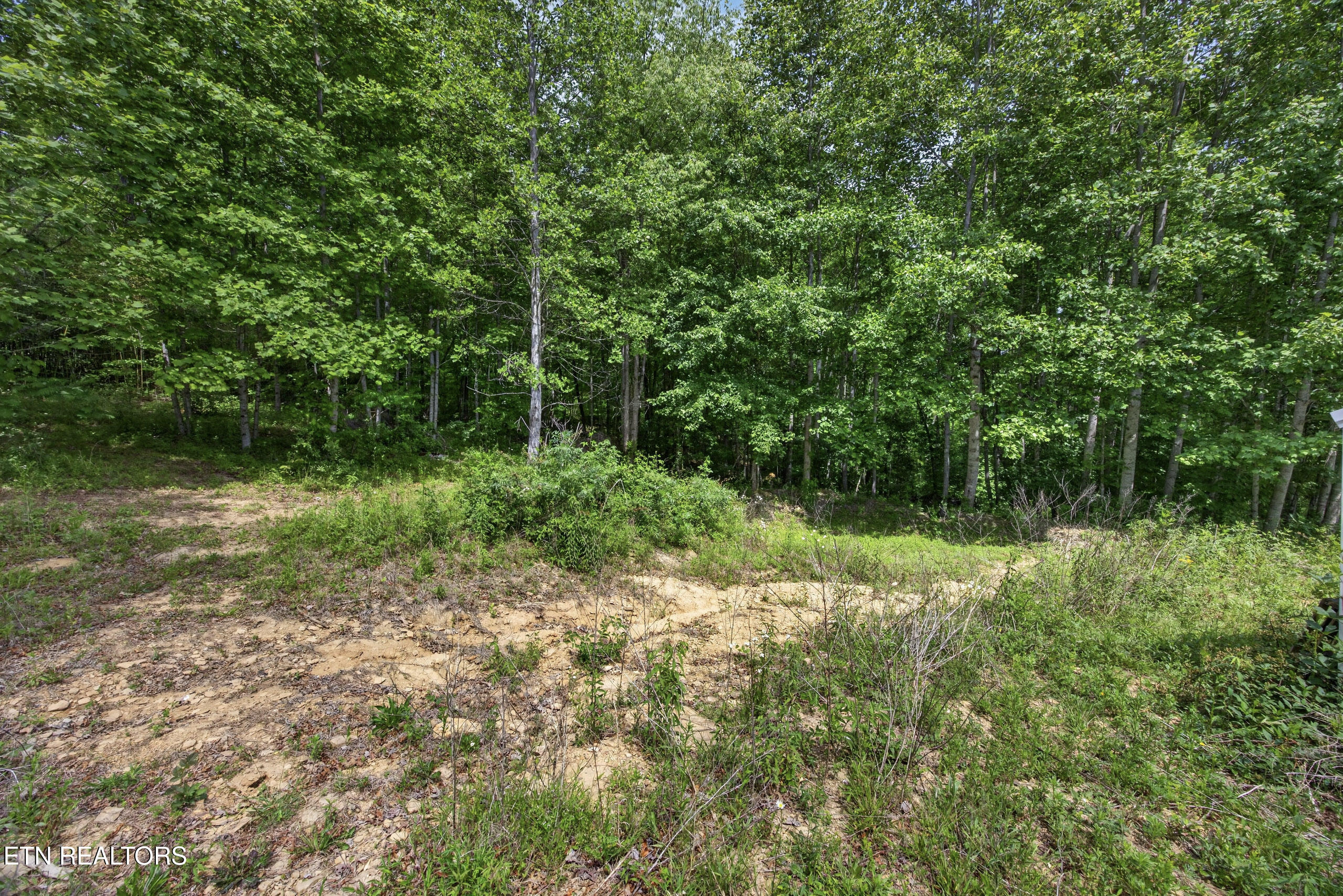 420 Oneida Lane Wilder TN 38589