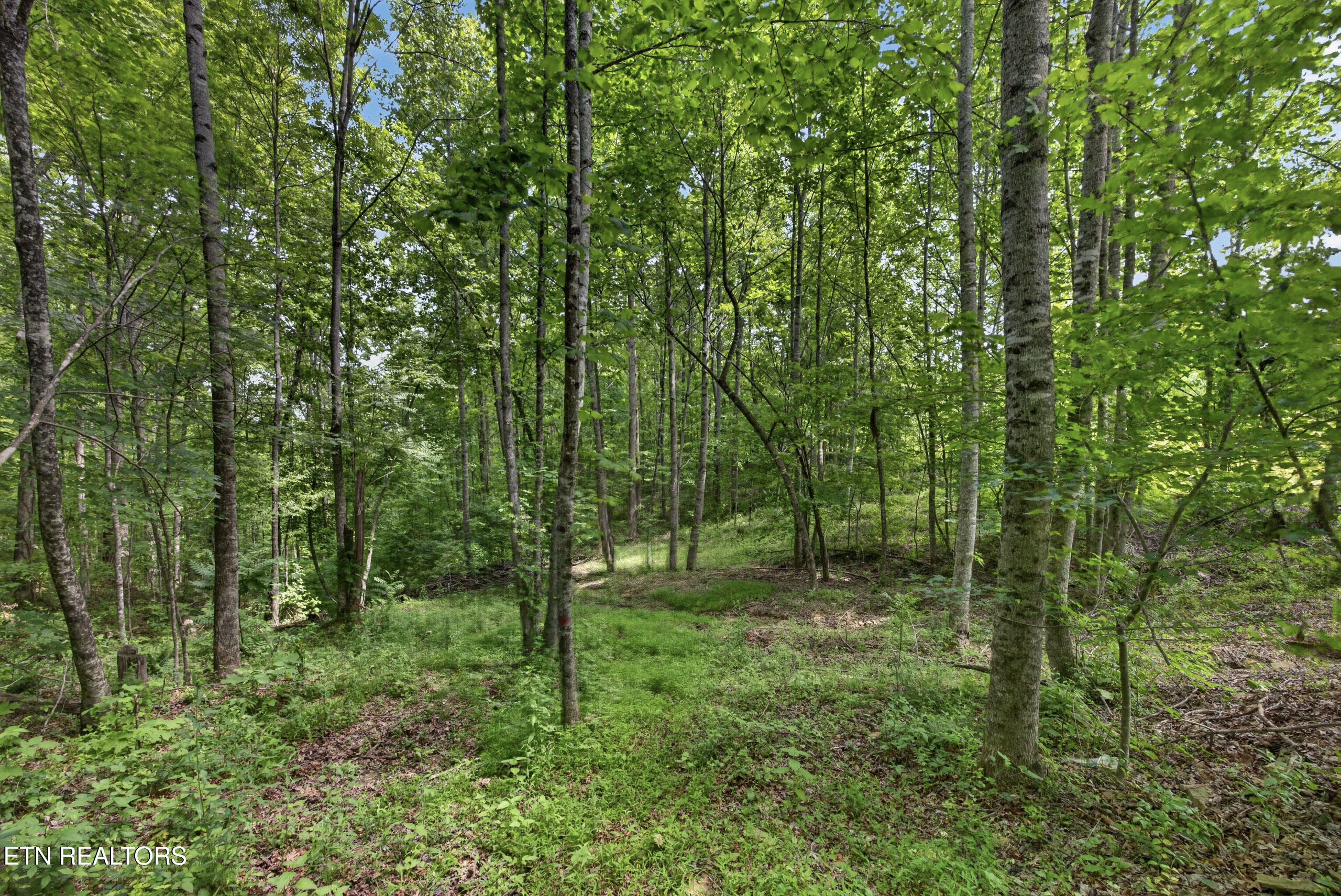 420 Oneida Lane Wilder TN 38589