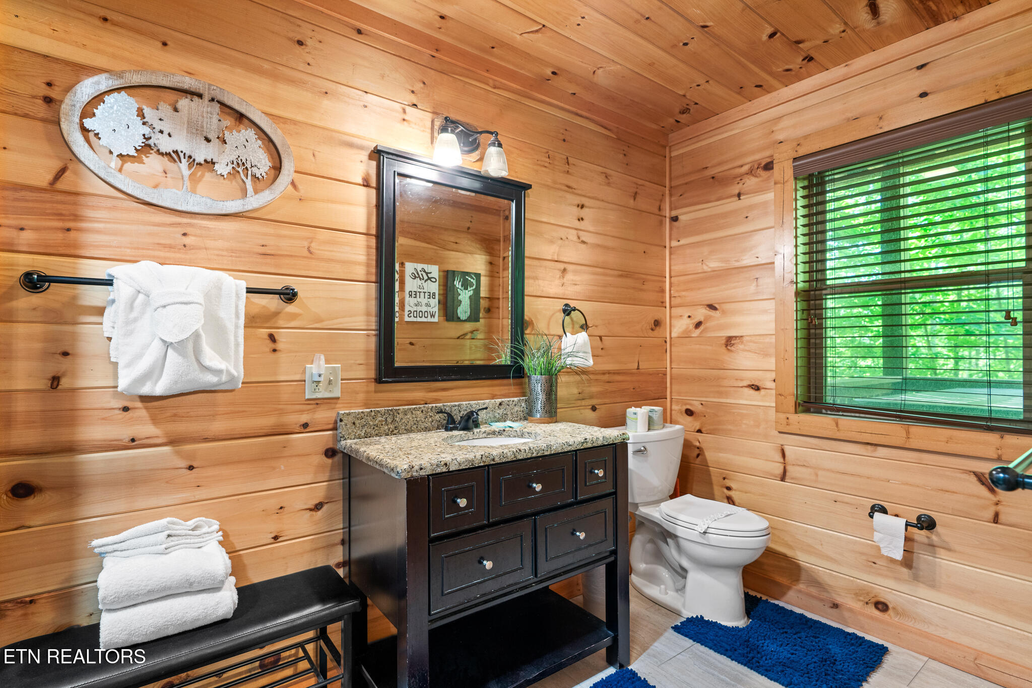 3884 Locust Ridge Road Sevierville TN 37876