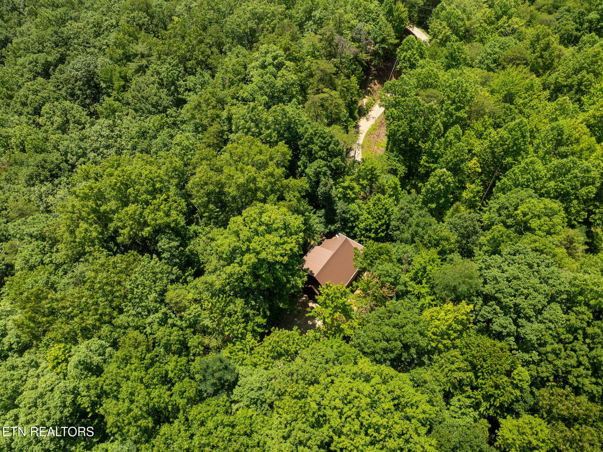 3884 Locust Ridge Road Sevierville TN 37876
