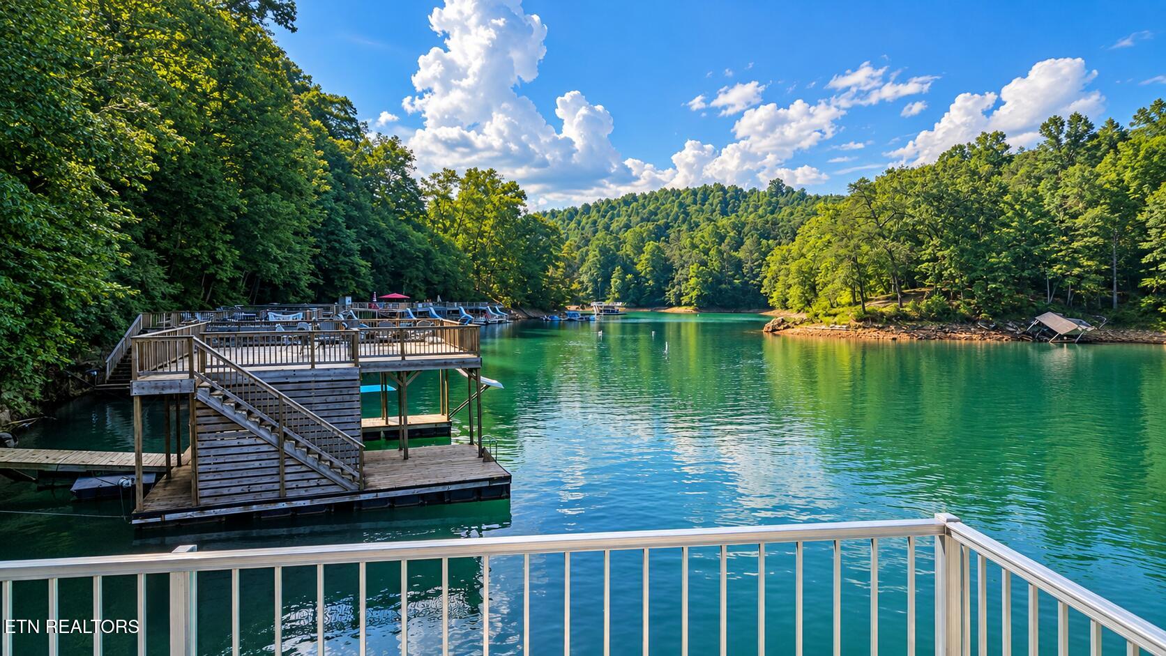 133 Pool Drive Lafollette TN 37766