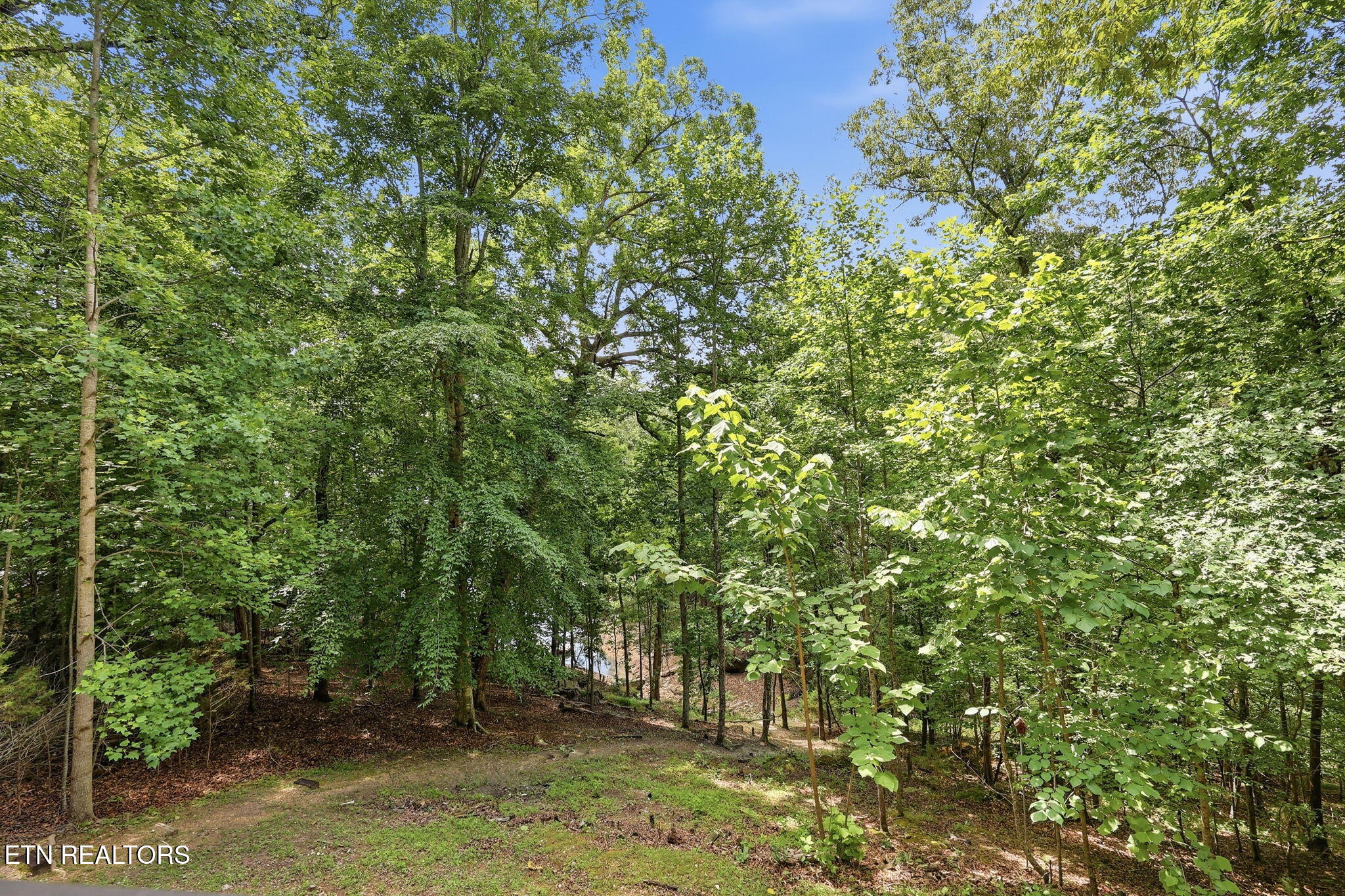 112 Royce Road Andersonville TN 37705