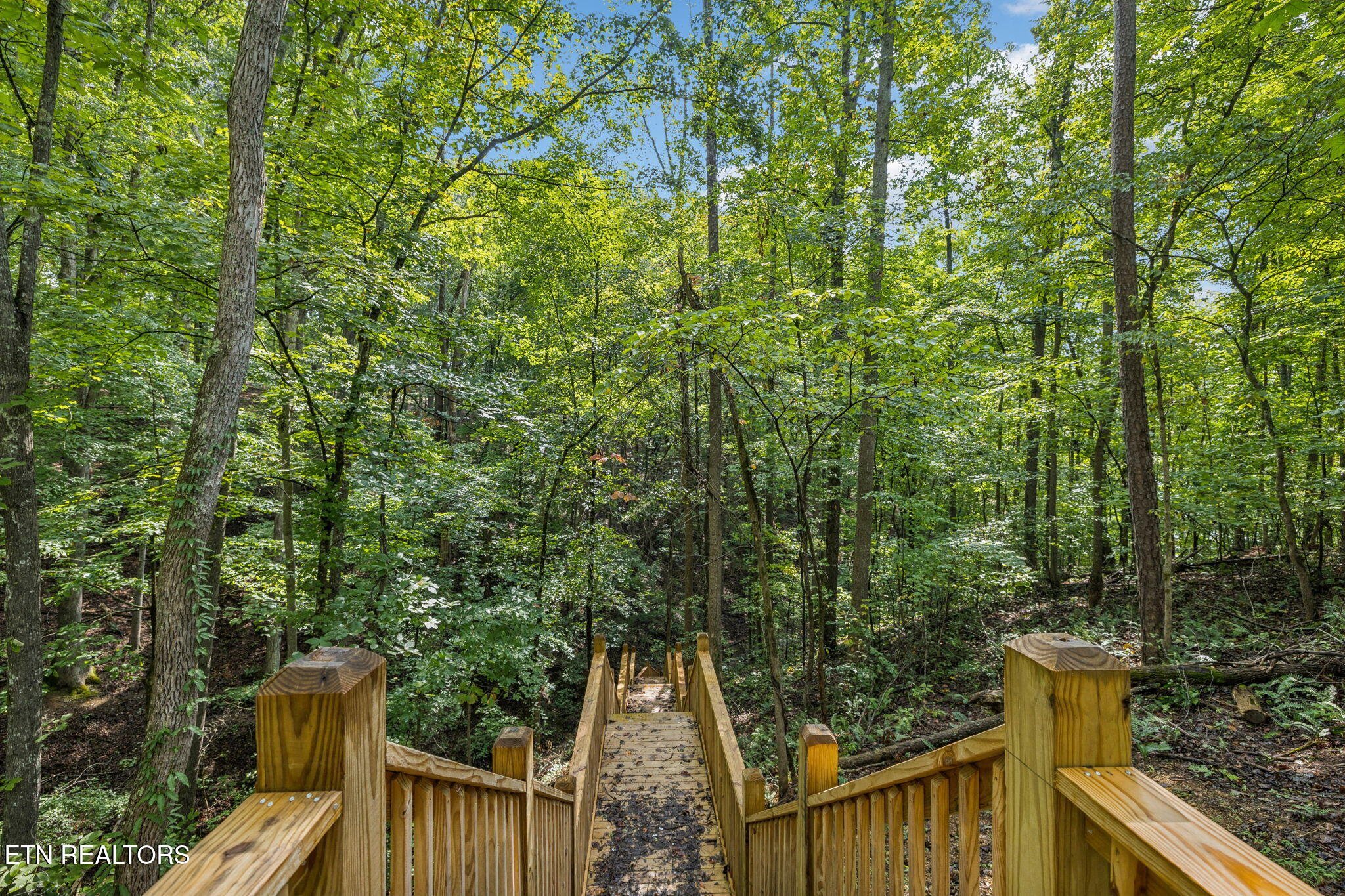 733 Country Oaks Lane Lafollette TN 37766