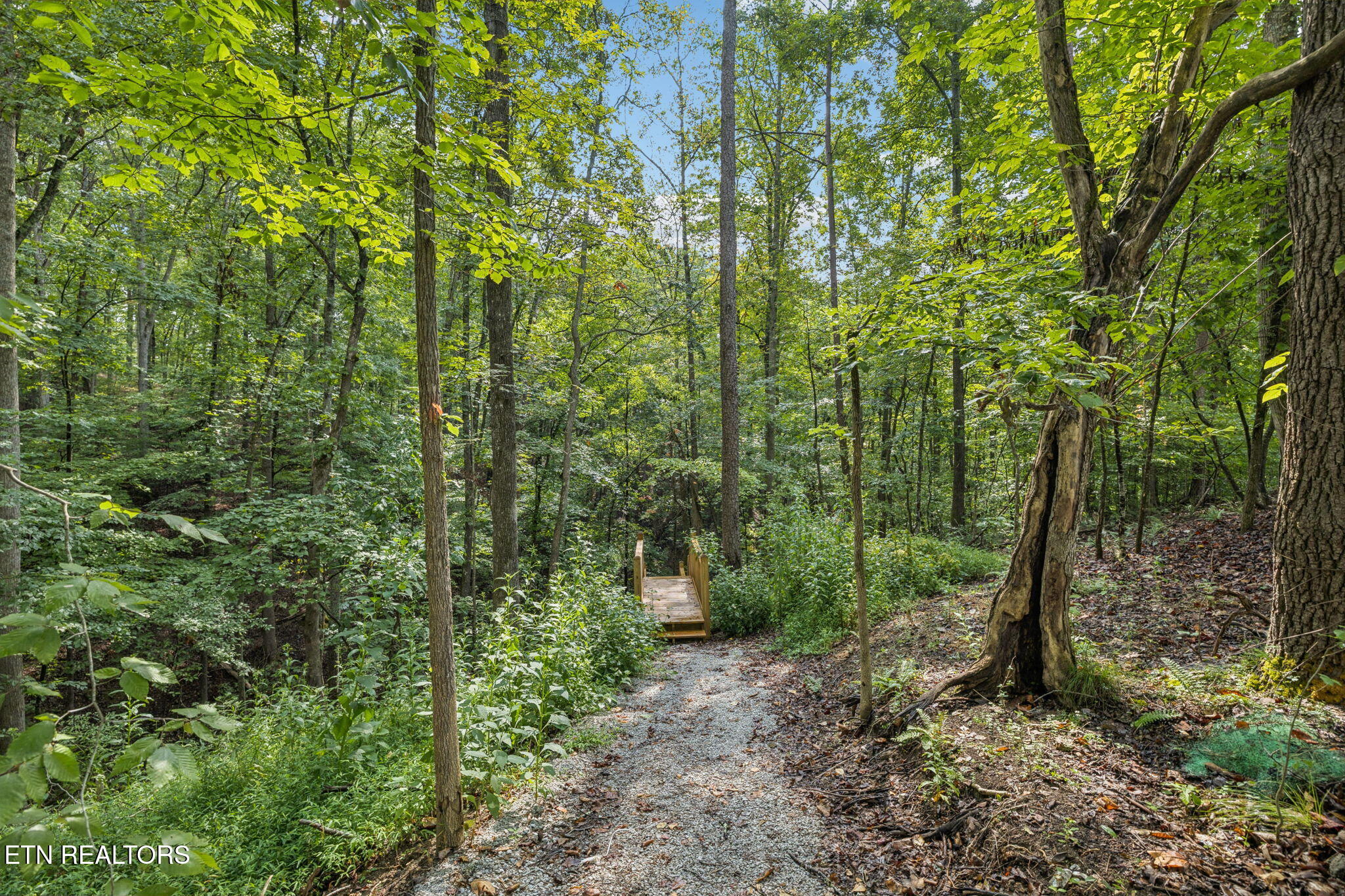 733 Country Oaks Lane Lafollette TN 37766