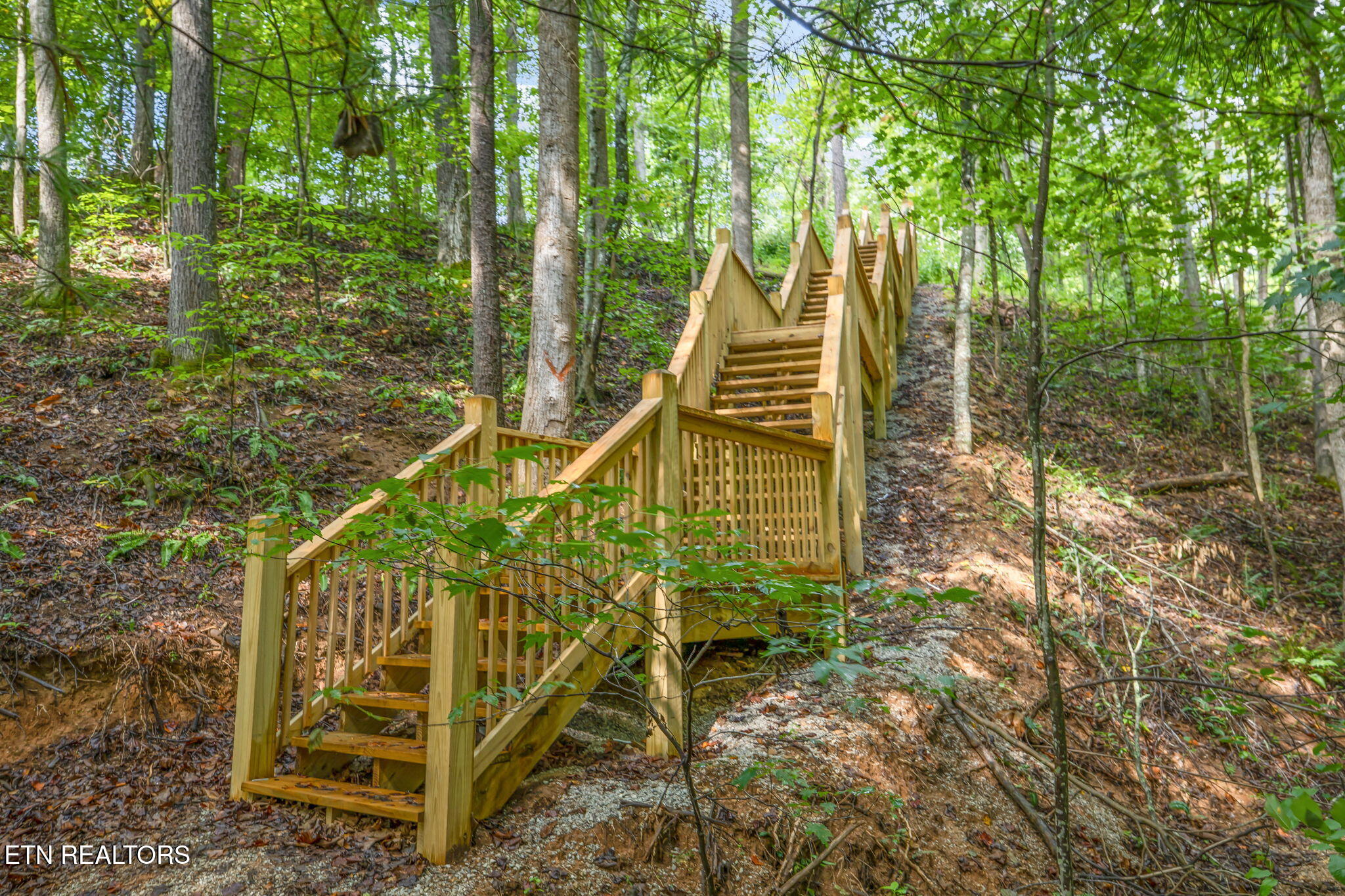 733 Country Oaks Lane Lafollette TN 37766