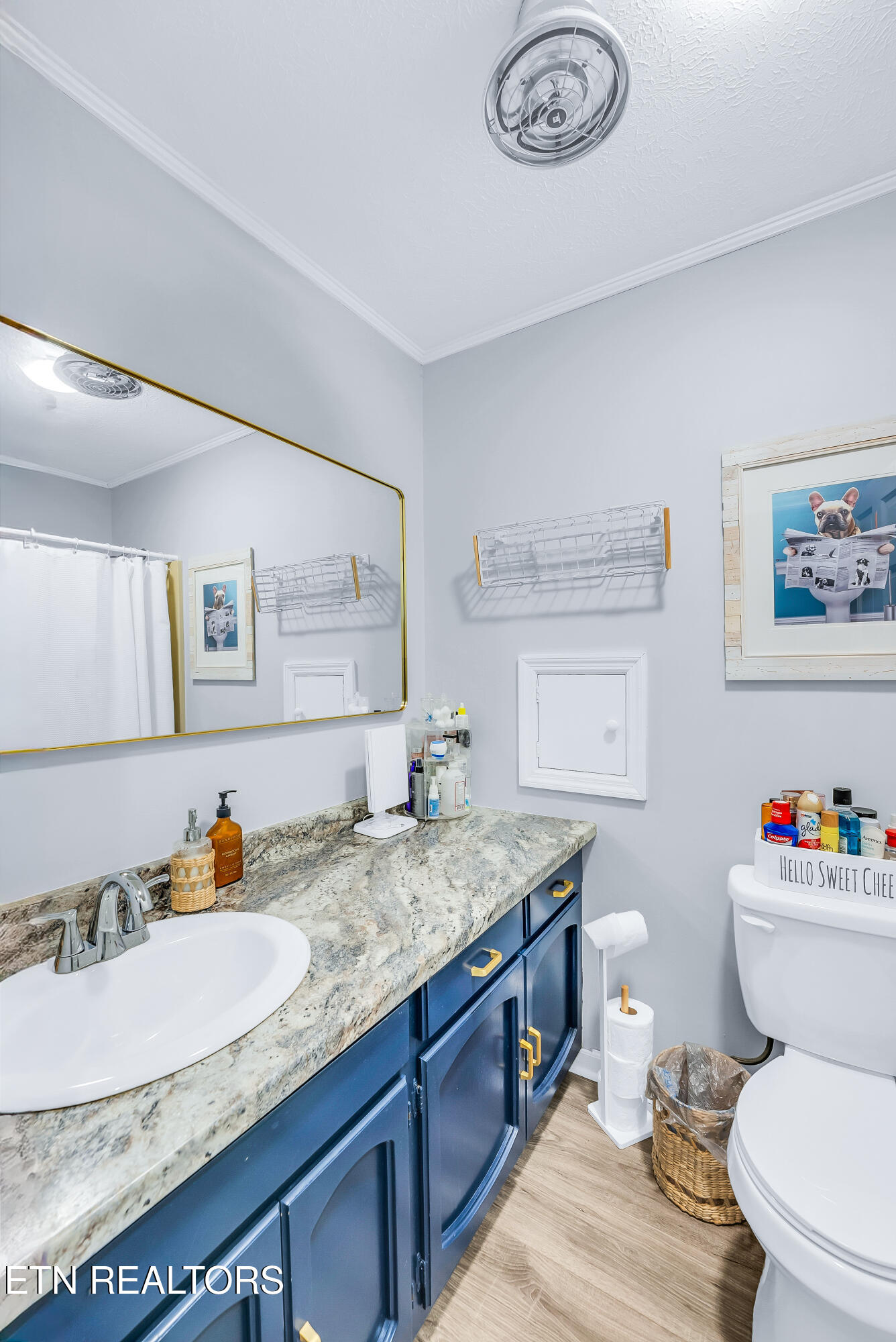 1519 Shadowood Drive Maryville TN 37803