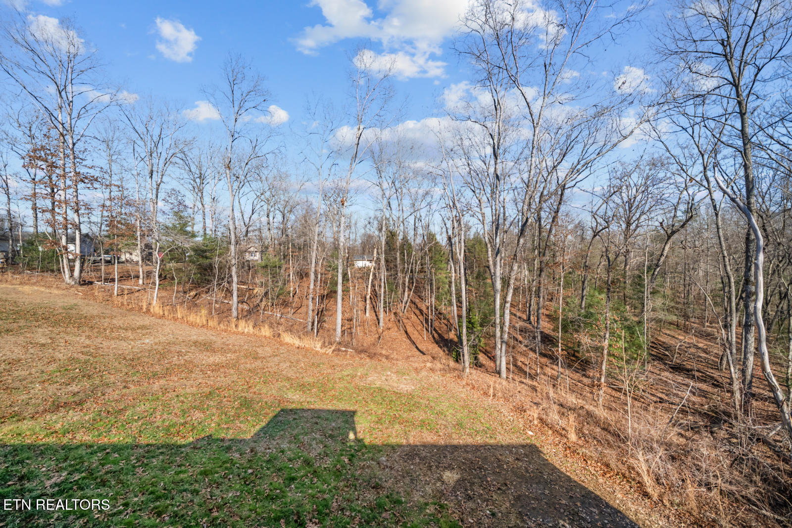 3003 Opalochee Drive Crossville TN 38572