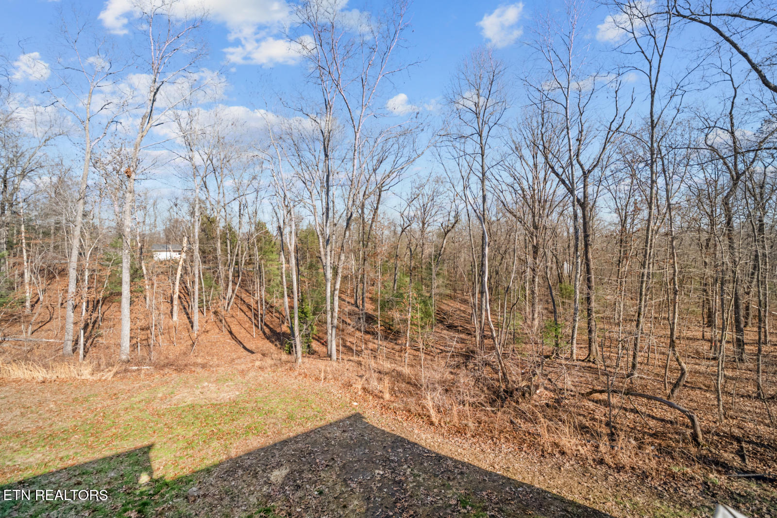 3003 Opalochee Drive Crossville TN 38572