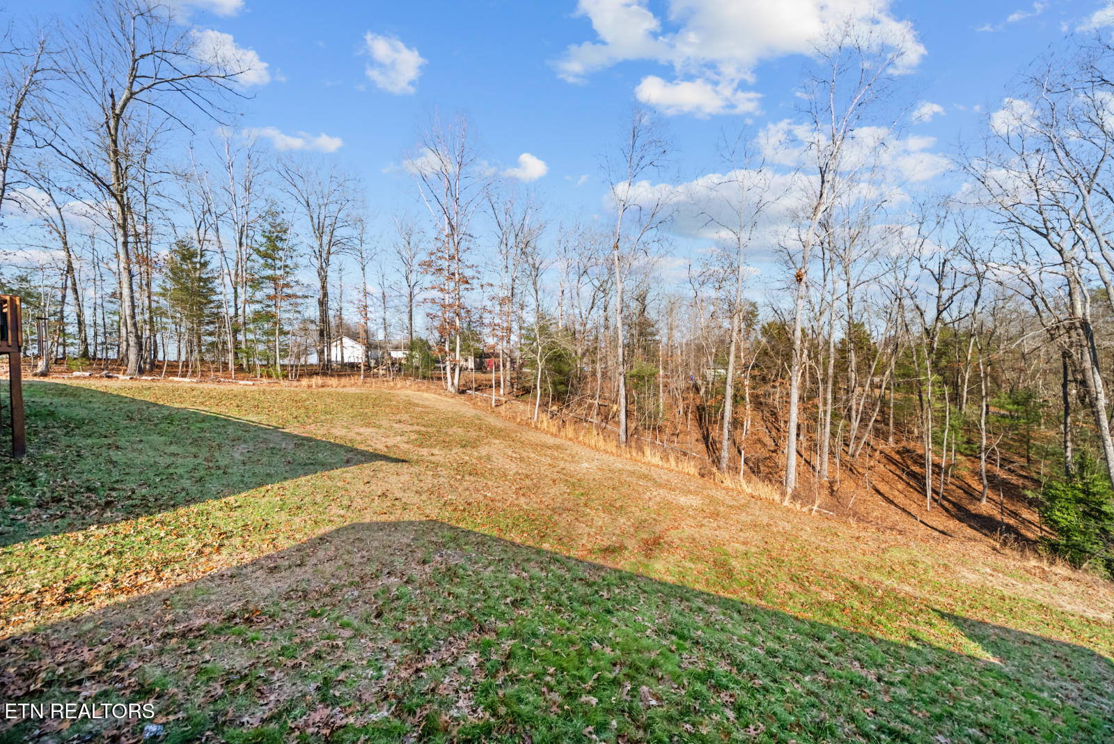 3003 Opalochee Drive Crossville TN 38572