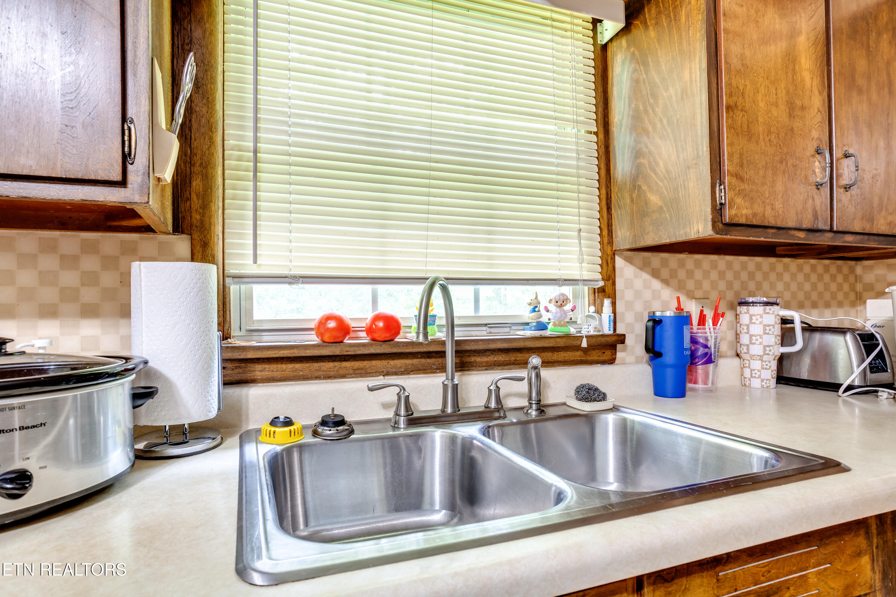 4512 Cabbage Drive Knoxville TN 37938