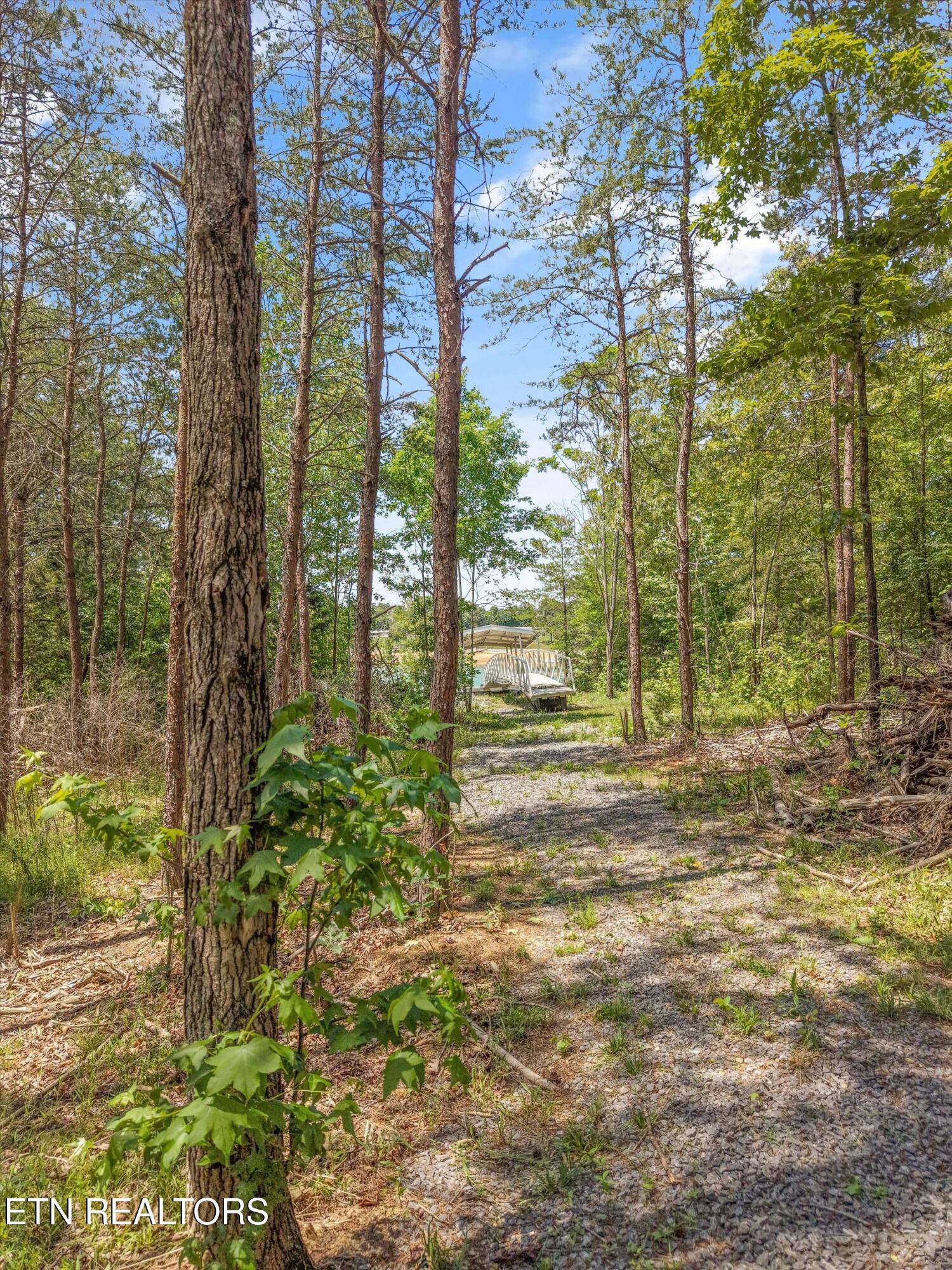 1925 Harbor Lane Dandridge TN 37725