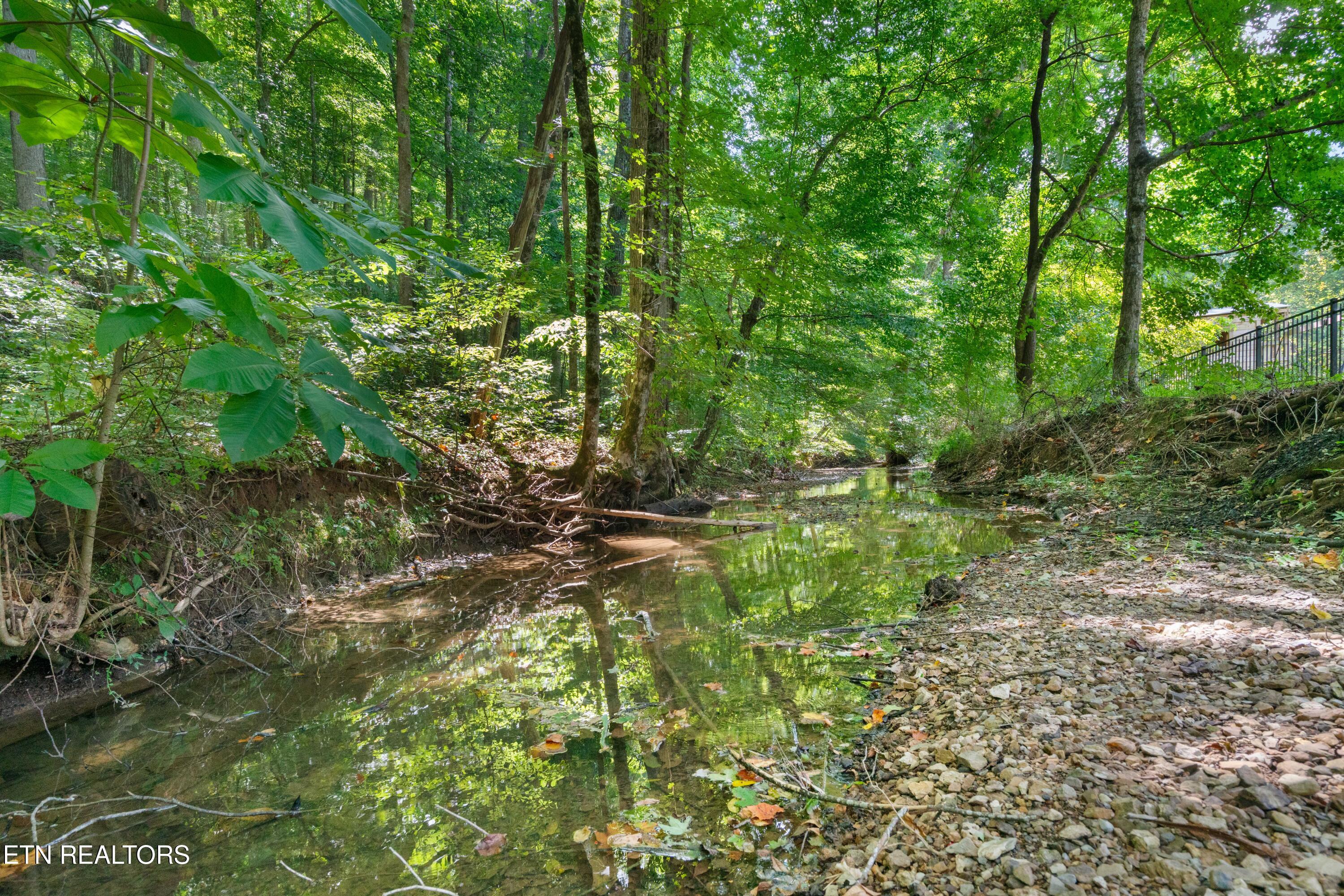 11728 Edison Drive Knoxville TN 37932