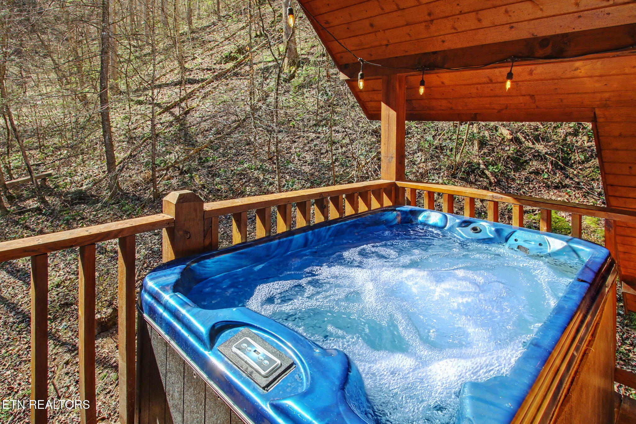 2244 Valley Mountain Way Sevierville TN 37862