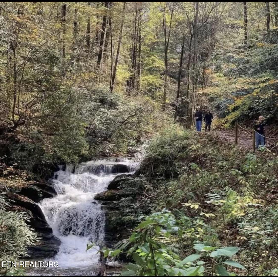2244 Valley Mountain Way Sevierville TN 37862
