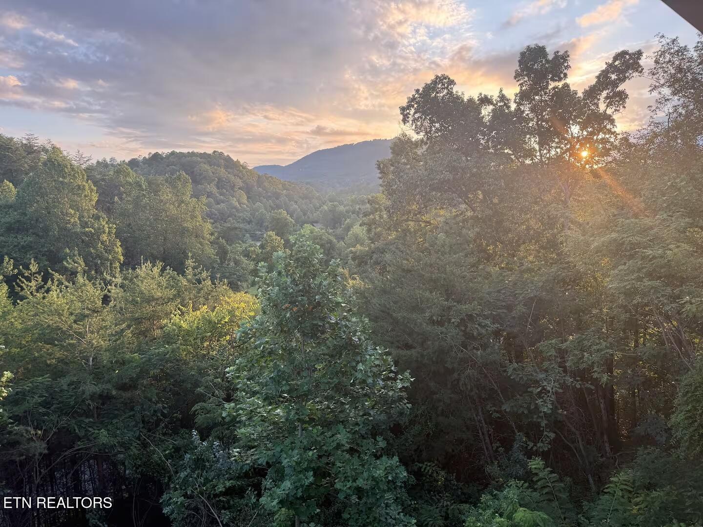 2068 Bear Haven Way Sevierville TN 37876